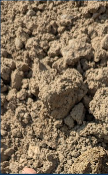 Close-up of dry, loose soil or dirt with small clumps.