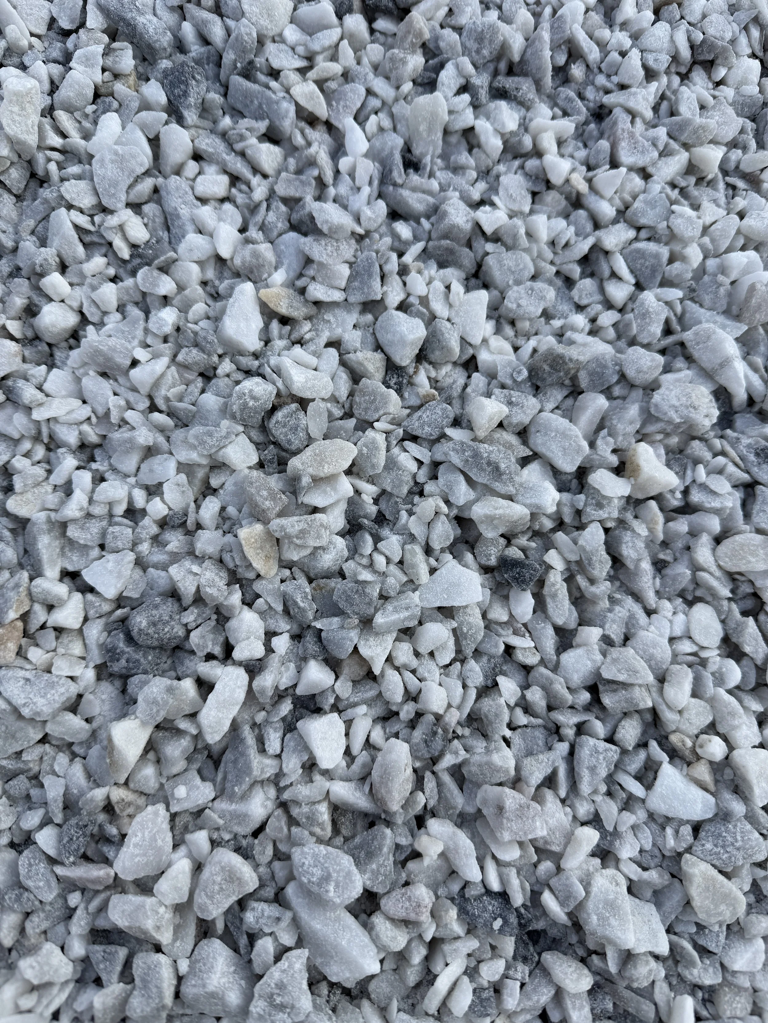 Close-up of small white, gray, and black crushed stones or gravel on the ground.