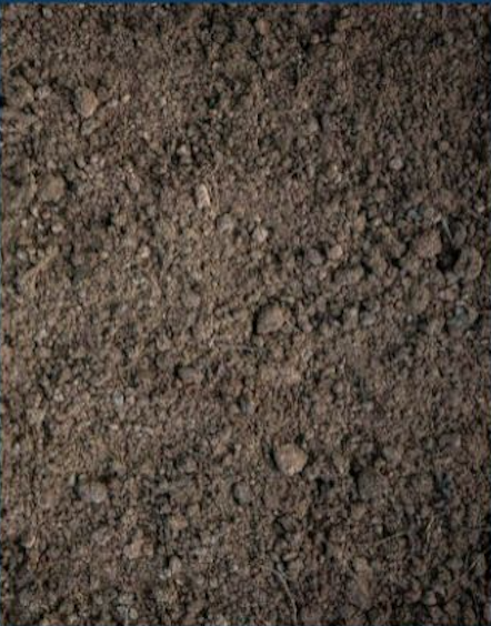 Close-up of dirt or soil with small rocks and loose particles.