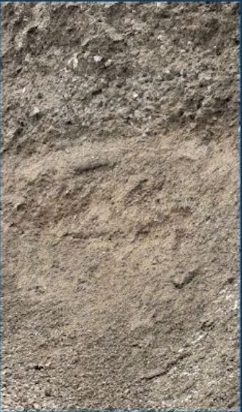 Close-up of a patch of dirt and soil, showing different textures and layers.