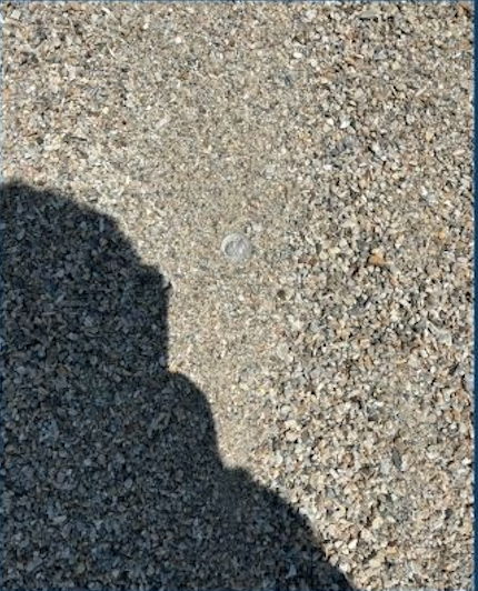 Close-up of gravel ground with a small coin and a shadow of a person.