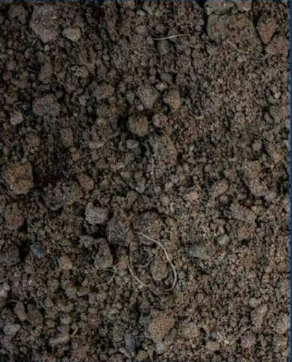 Close-up of dark soil with a small, buried metallic object