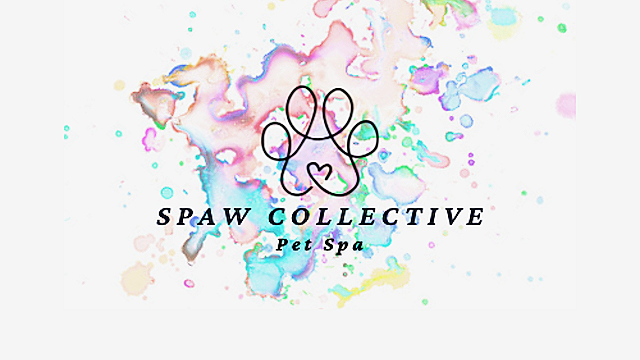 Spaw Collective