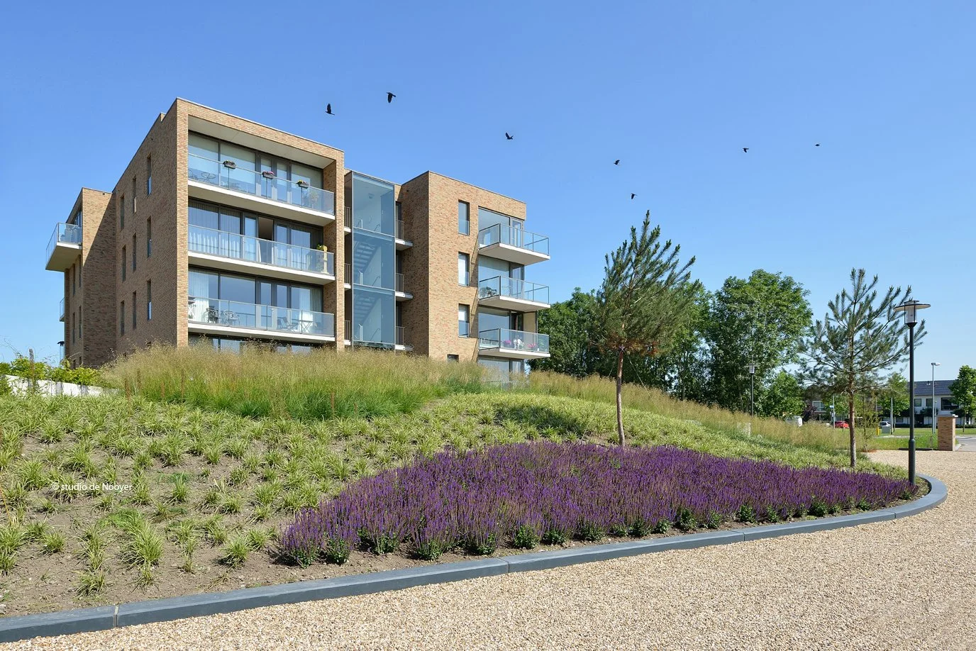 7898 Social Housing Almere CHANGE.NL.jpg