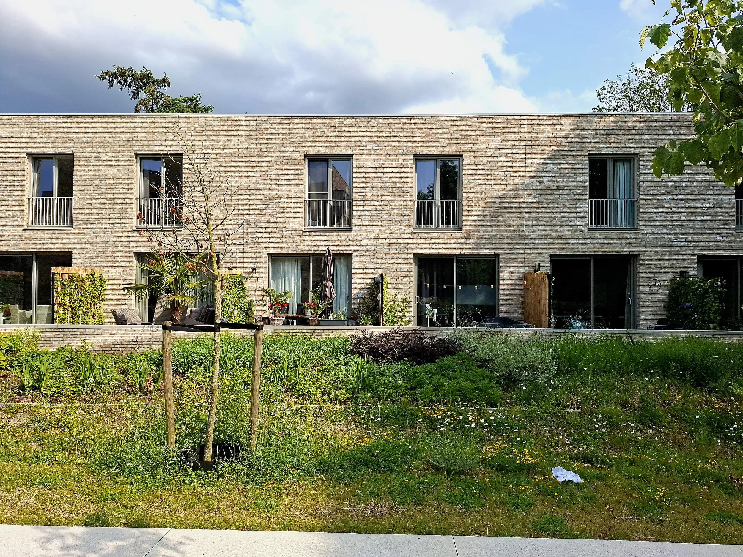 web 072_20250604_173107.jpg