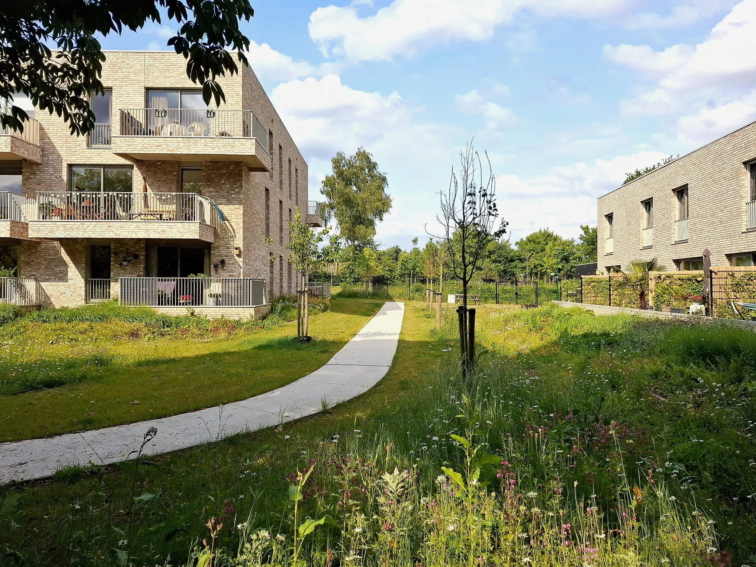 web 072_20250604_172921.jpg