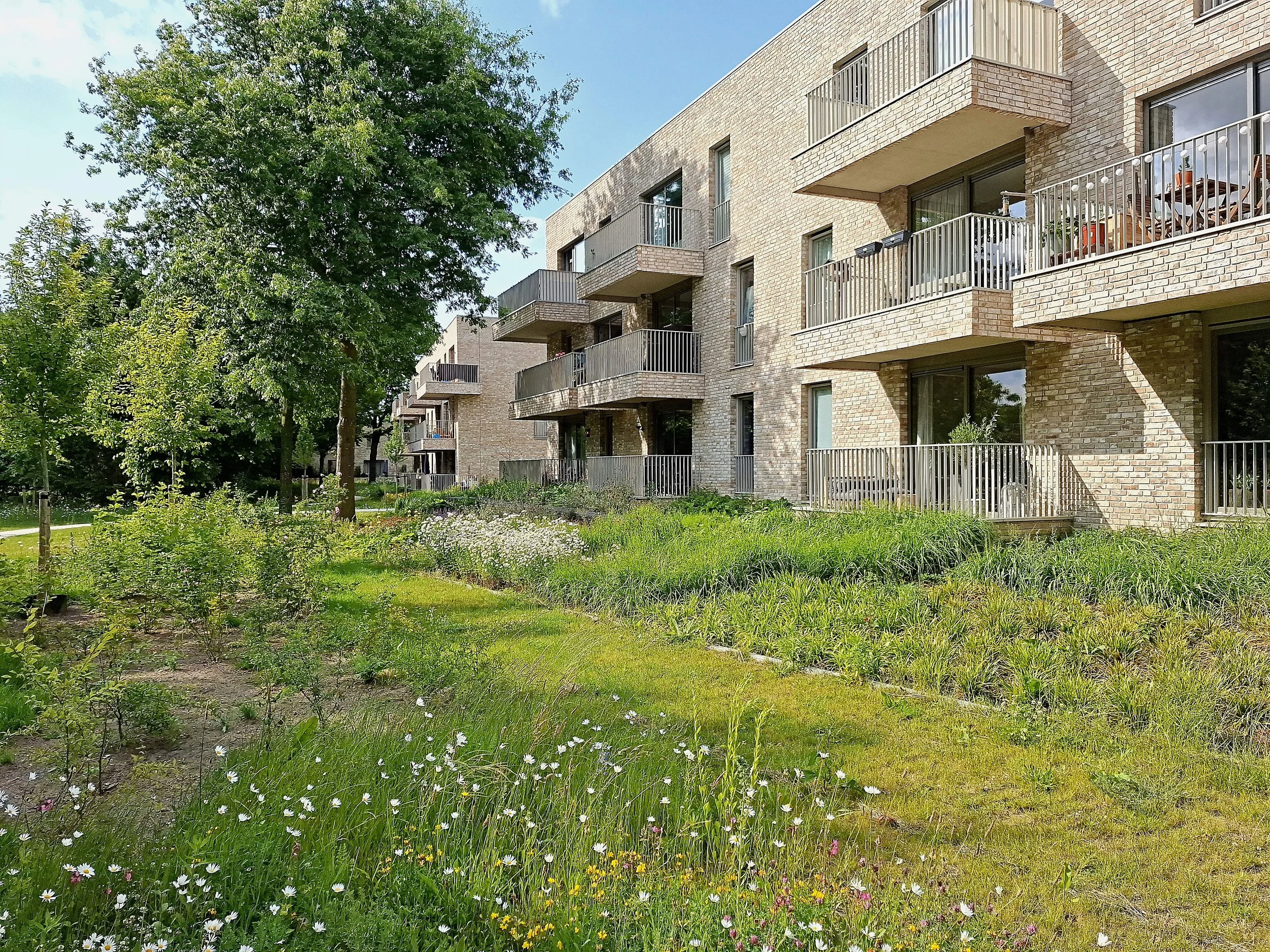 web 072_20250604_173021.jpg