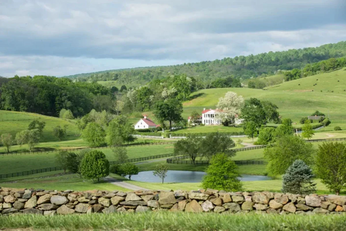 Ovoka FarmExplore Ovoka Farm in Paris, Virginia, through the GATHER Gallery. Set across 700 acres in Fauquier County, this historic Virginia farm features rolling countryside, a late-18th-century manor, Ovoka Wagyu, and the remarkable landscape that 