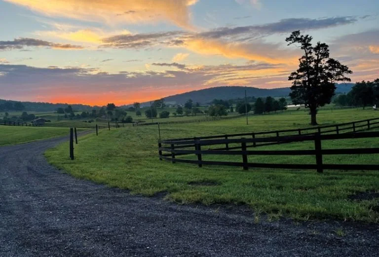 Explore Ovoka Farm in Paris, Virginia, through the GATHER Gallery. Set across 700 acres in Fauquier County, this historic Virginia farm features rolling countryside, a late-18th-century manor, Ovoka Wagyu, and the remarkable landscape that will becom