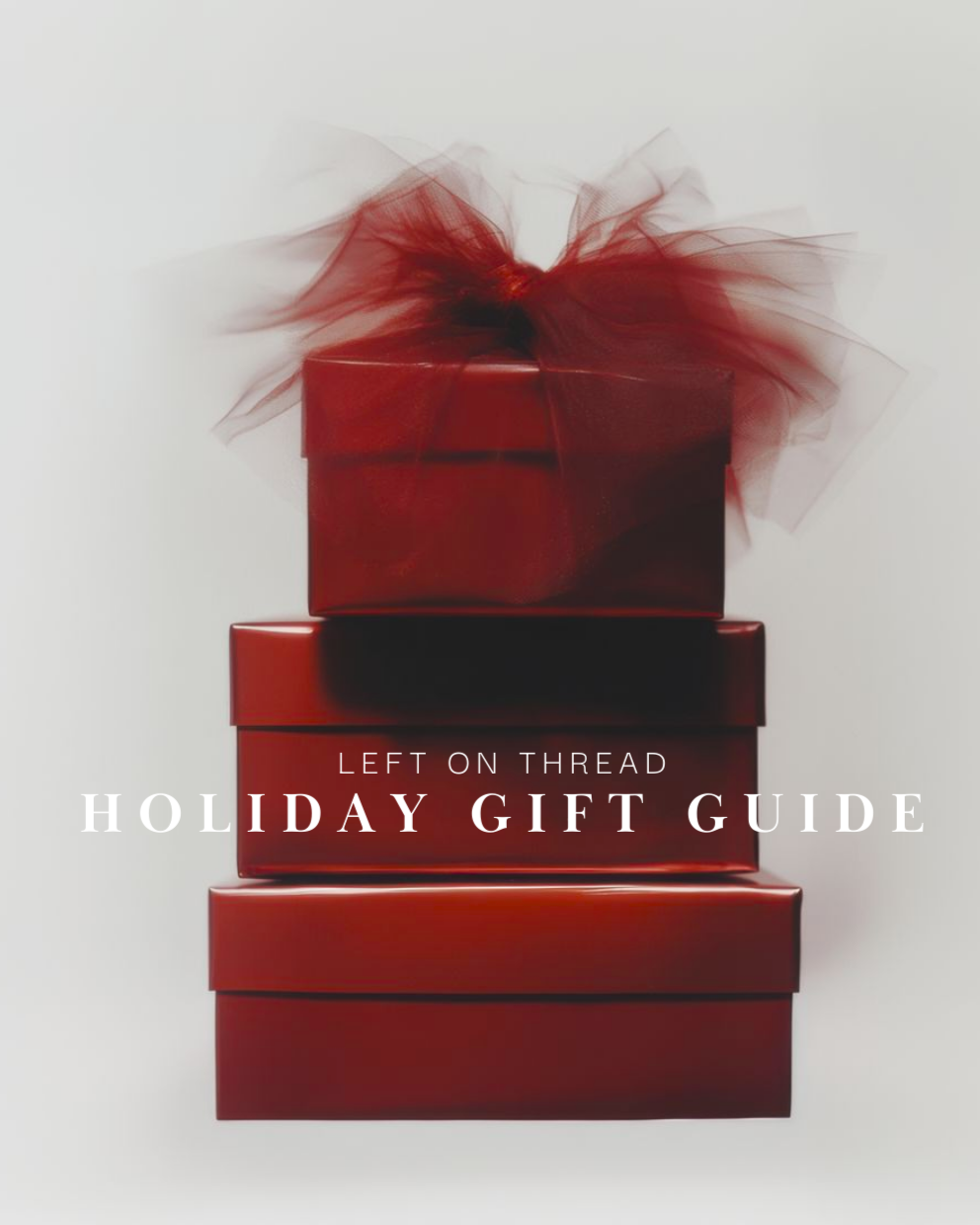 Holiday Campaign '25