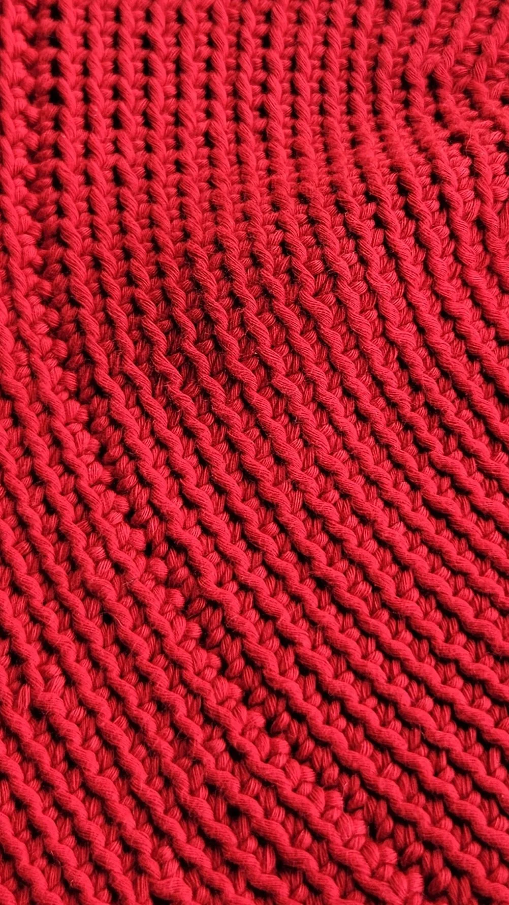 cottonredhatclose (1).jpg