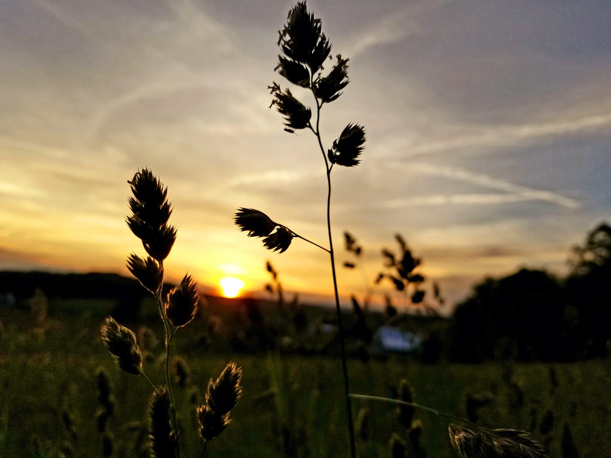 20190527_204027.jpg