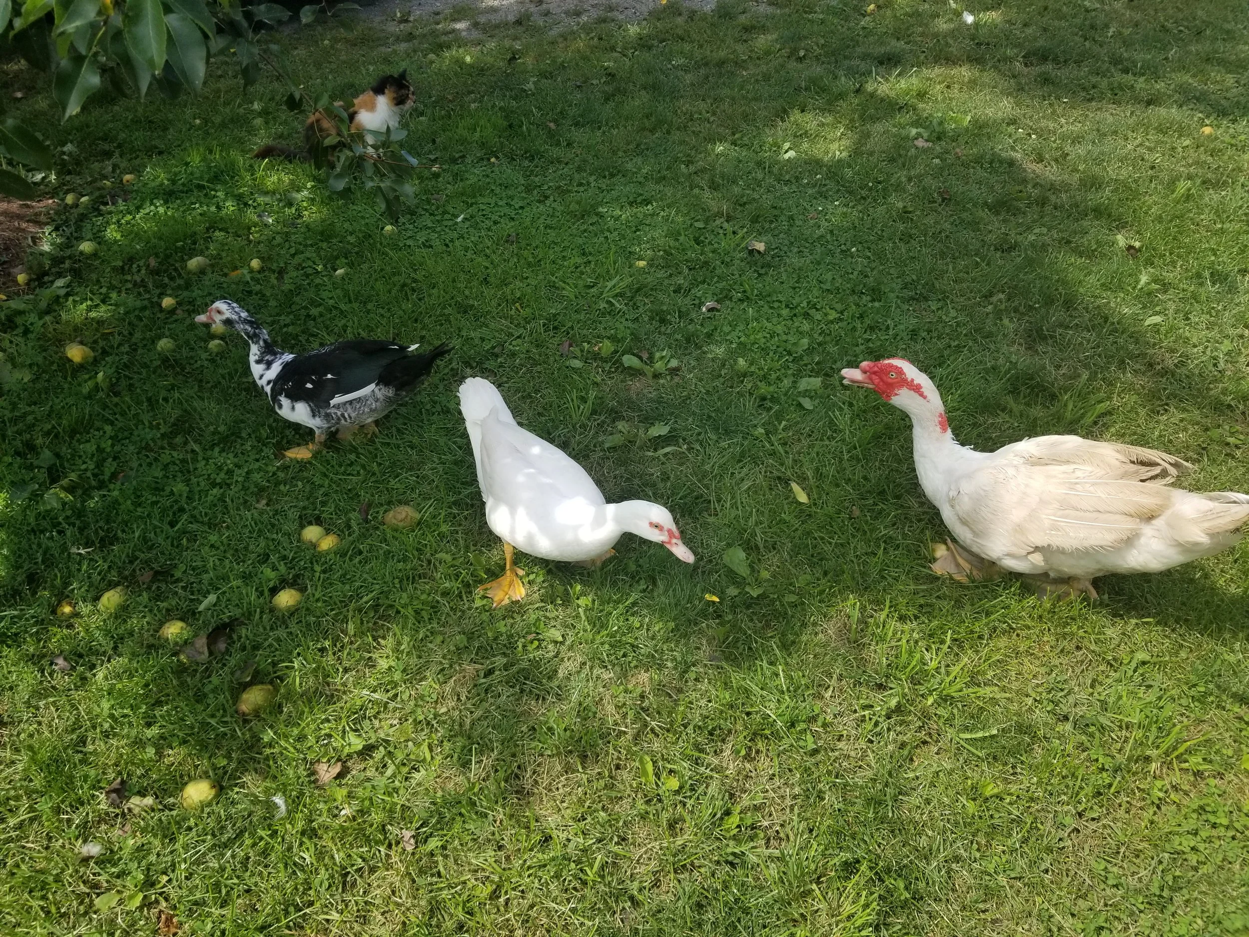 20170830_142737.jpg