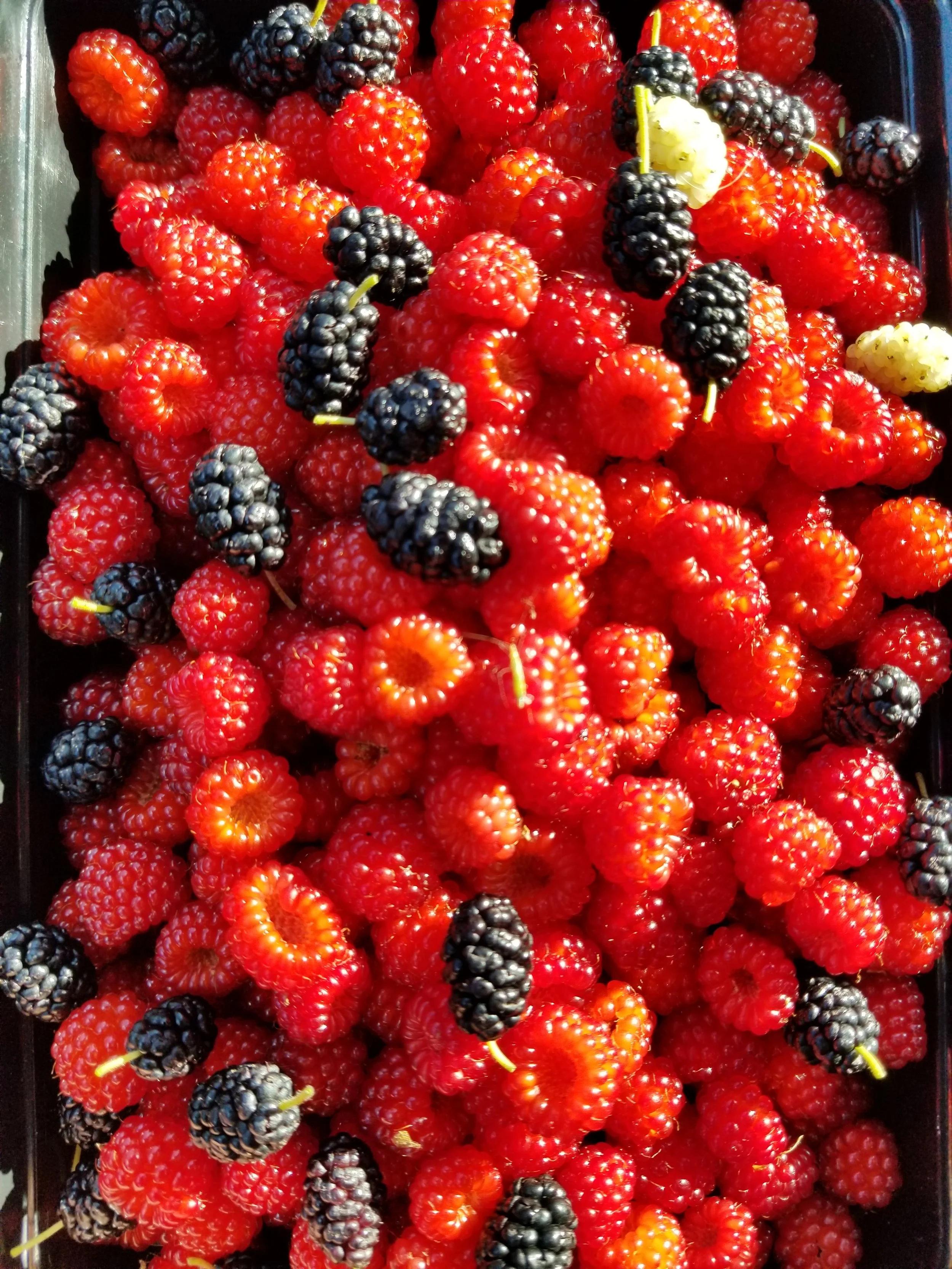 20190630_175048.jpg