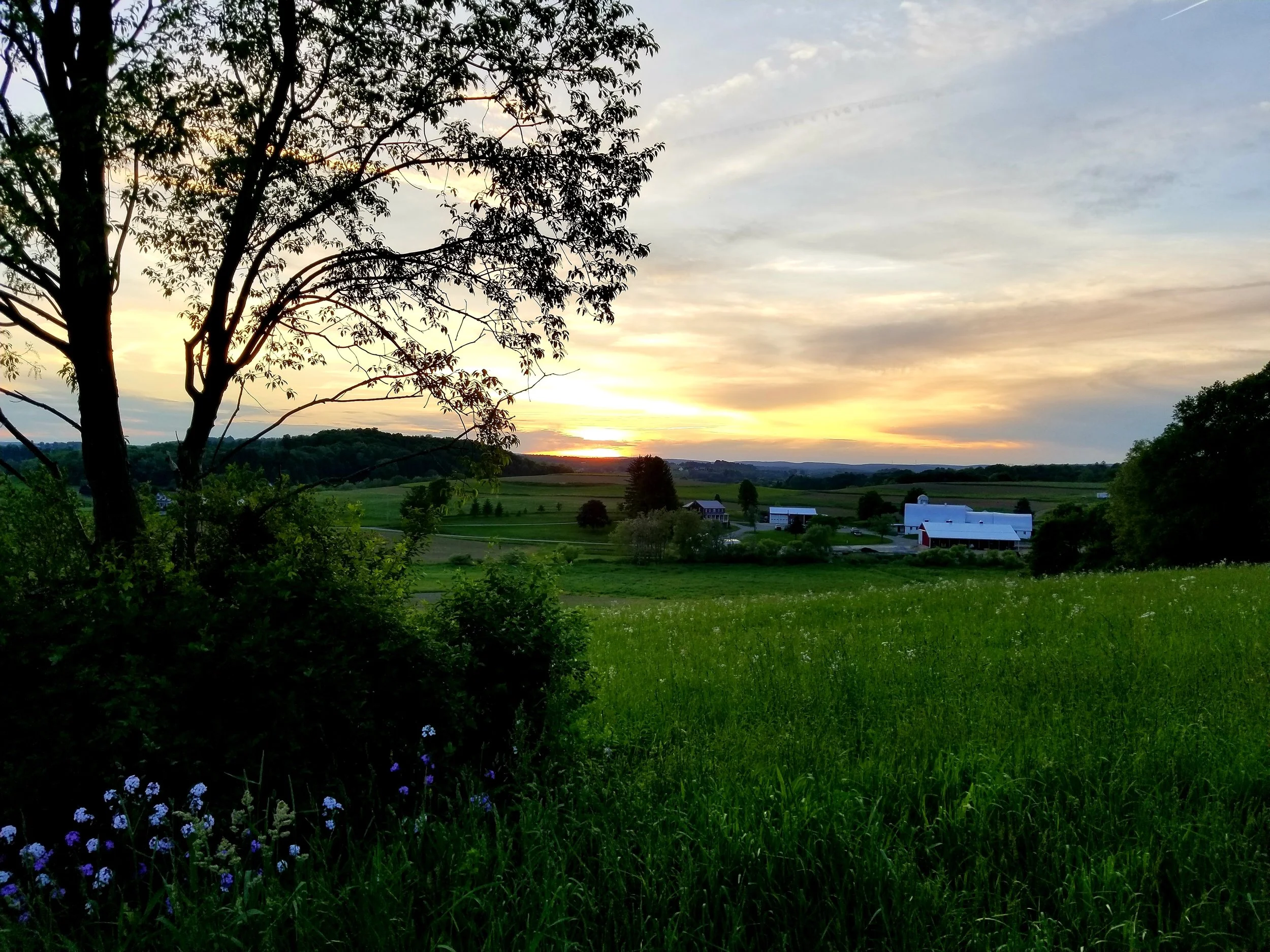 20190527_204120.jpg