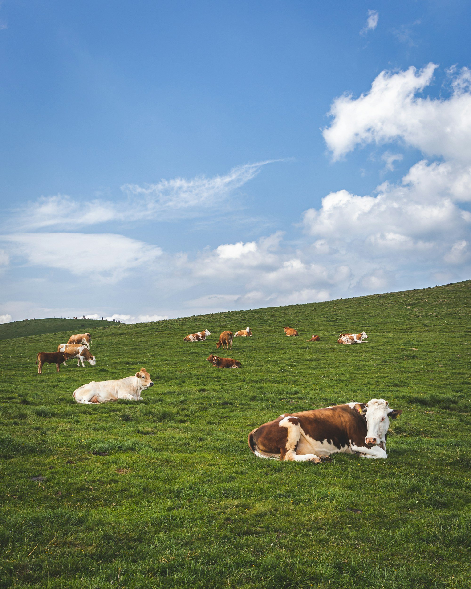 Regenerative Agriculture &amp; a Resilient Food System | Sara Keough
