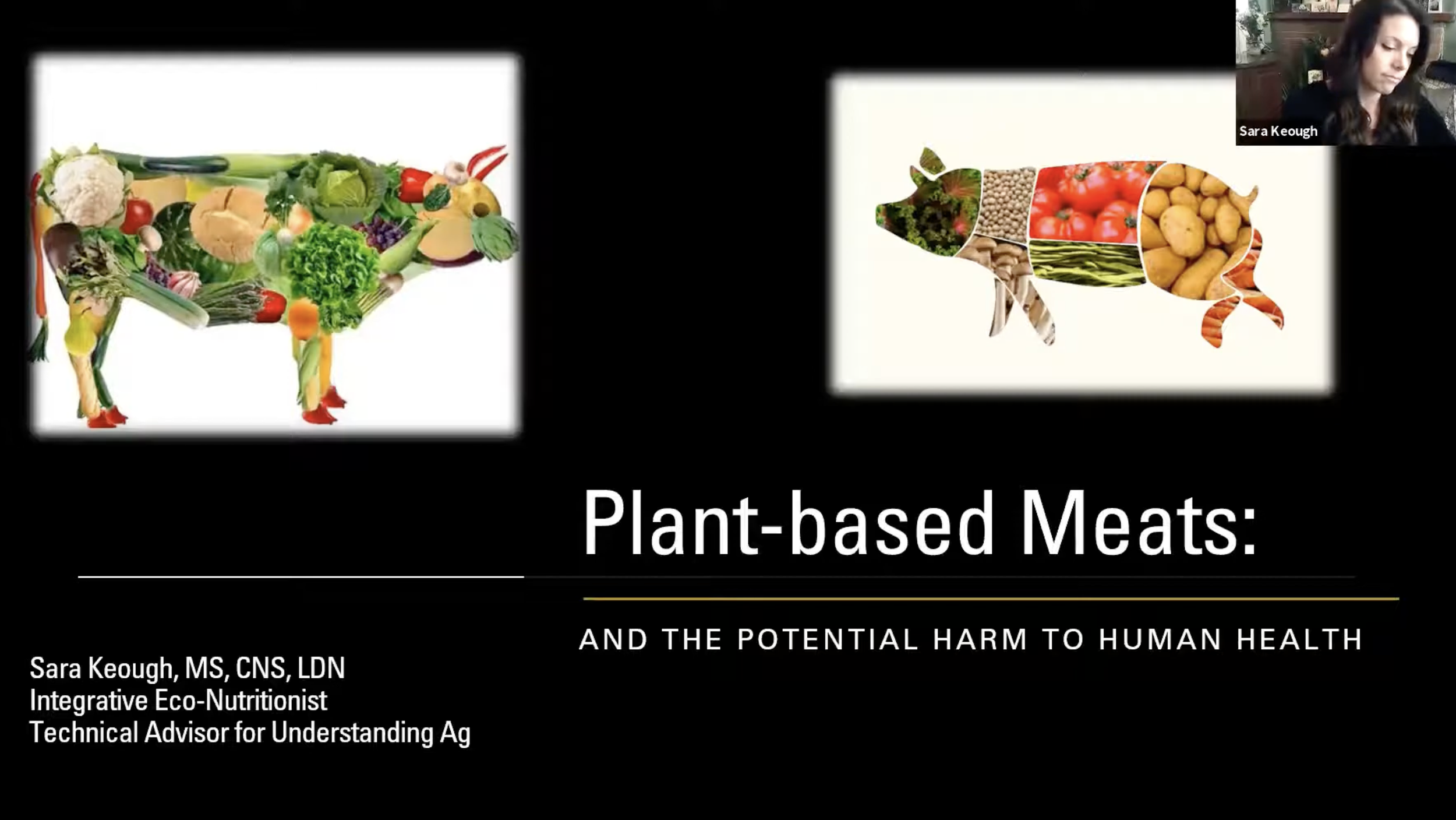 Webinar: Plant-Based Meat &amp; Human Health | Sara Keough 