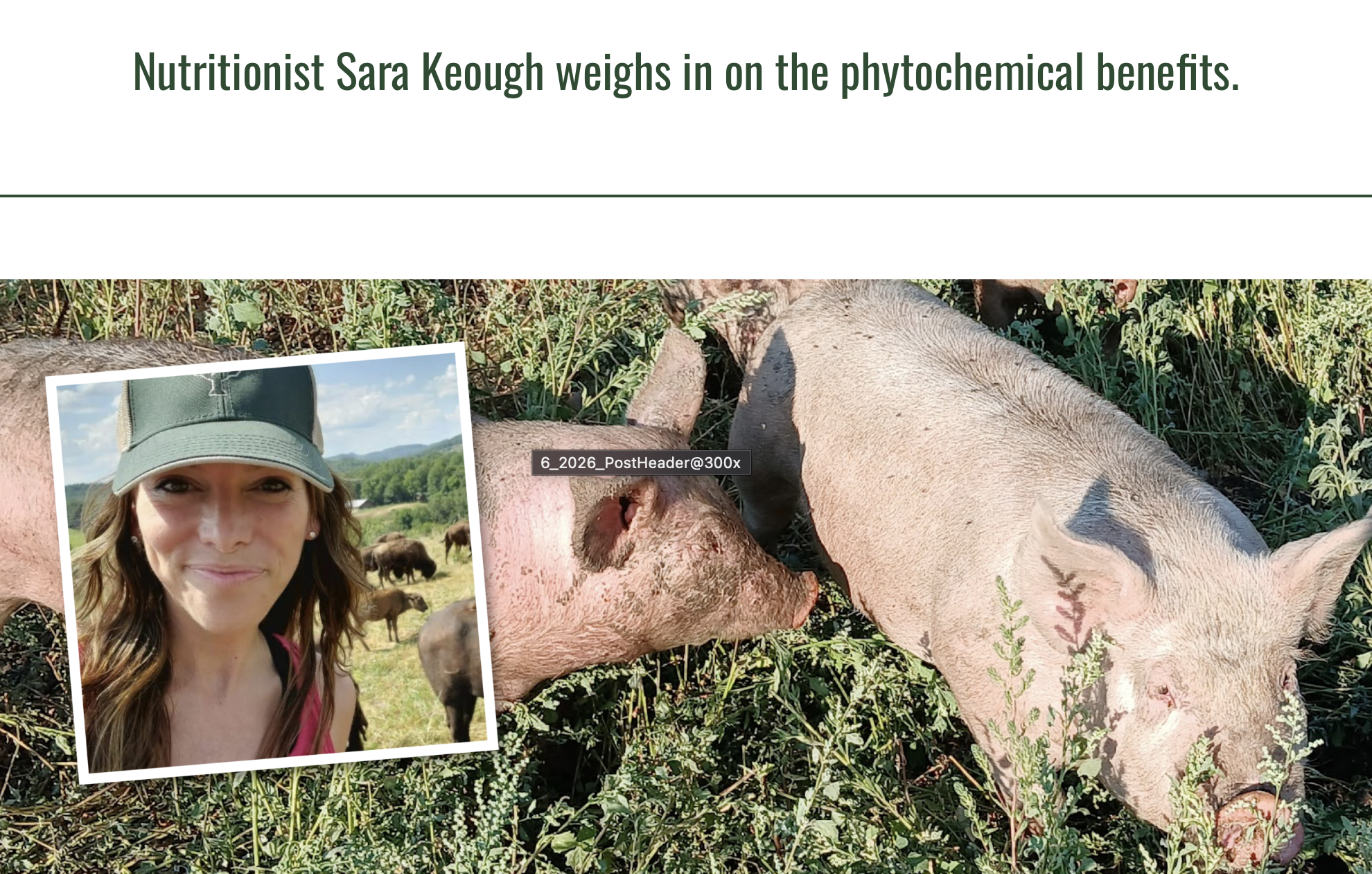 Pasture-Raised Meat: Nutrition Benefits &amp; Regenerative Ranching
