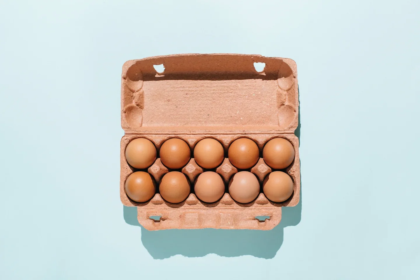 HuffPost: Does Hen Feed Affect Egg Nutrition? | Sara Keough Expert Commentary