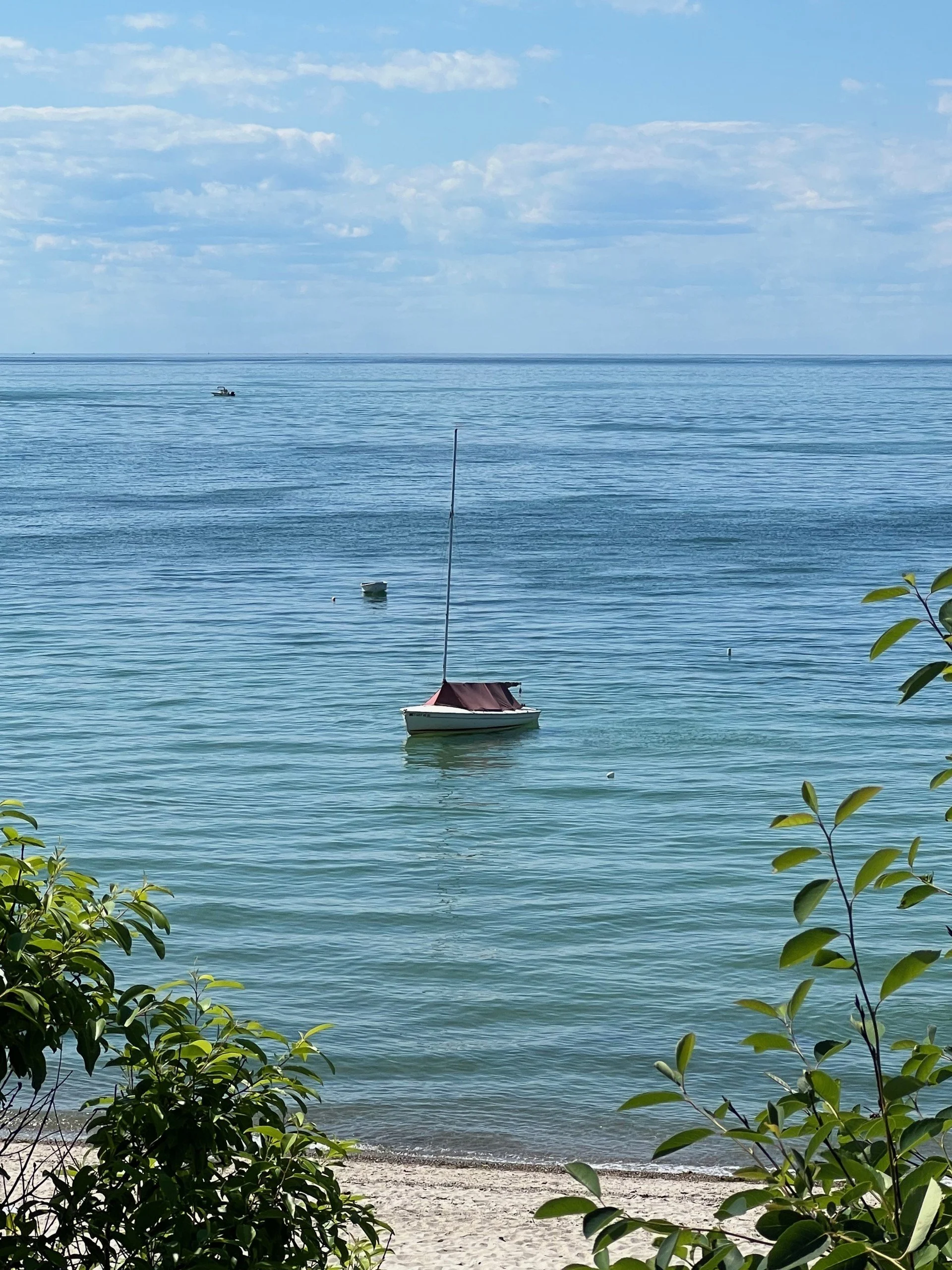 A peaceful beach scene with green foliage in the foreground, a sandy shoreline, calm blue water, a small boat docking in the water, and a bright blue sky with clouds.