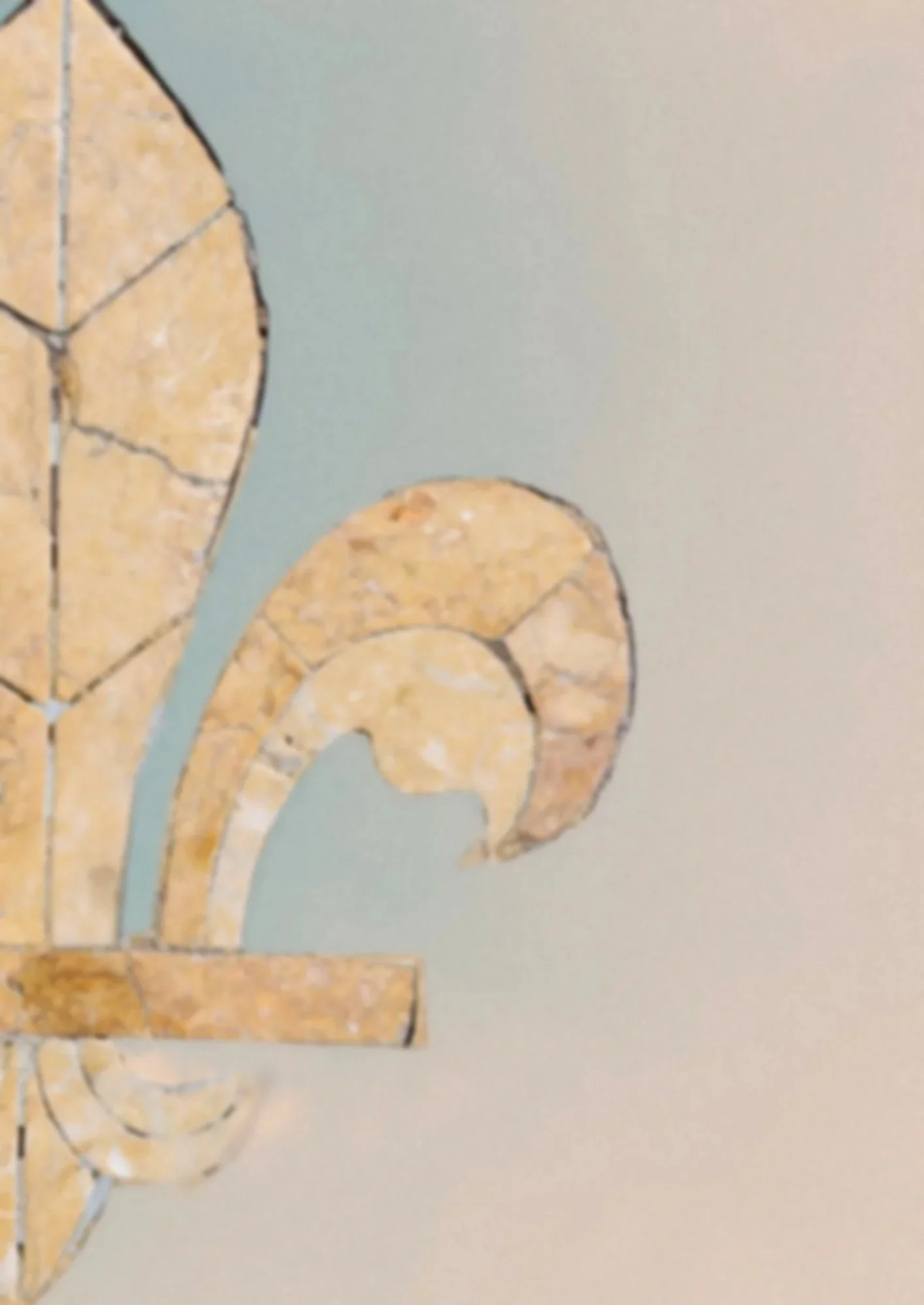 Mentoring Visual - Fleur de Lys Details