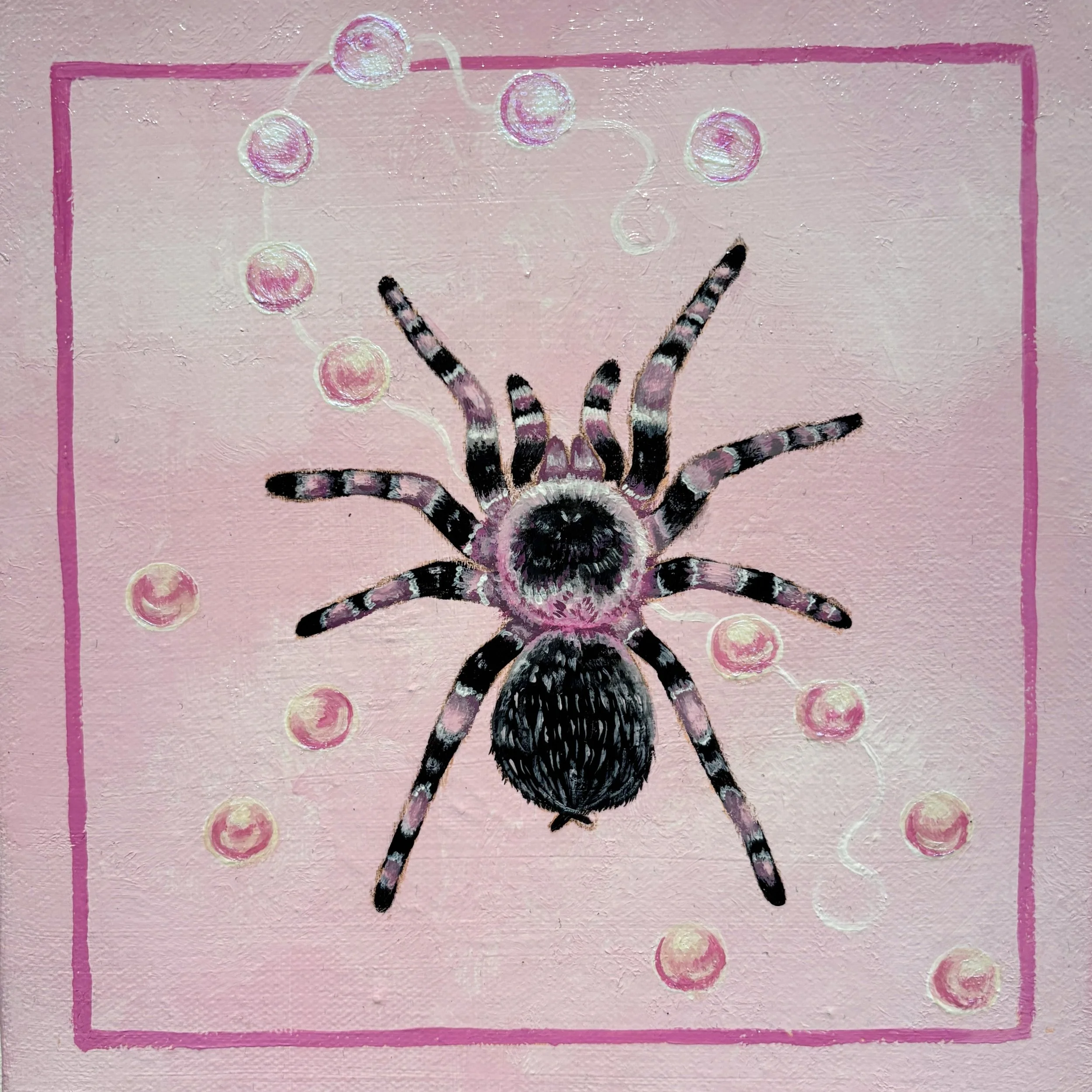 "tarantula", 20 cm x 20 cm, acrylic on canvas