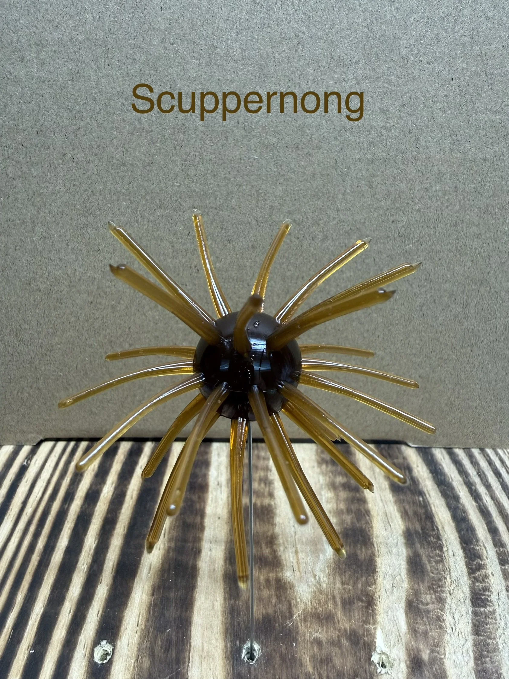 Shockwave Finesse (Scuppernong)