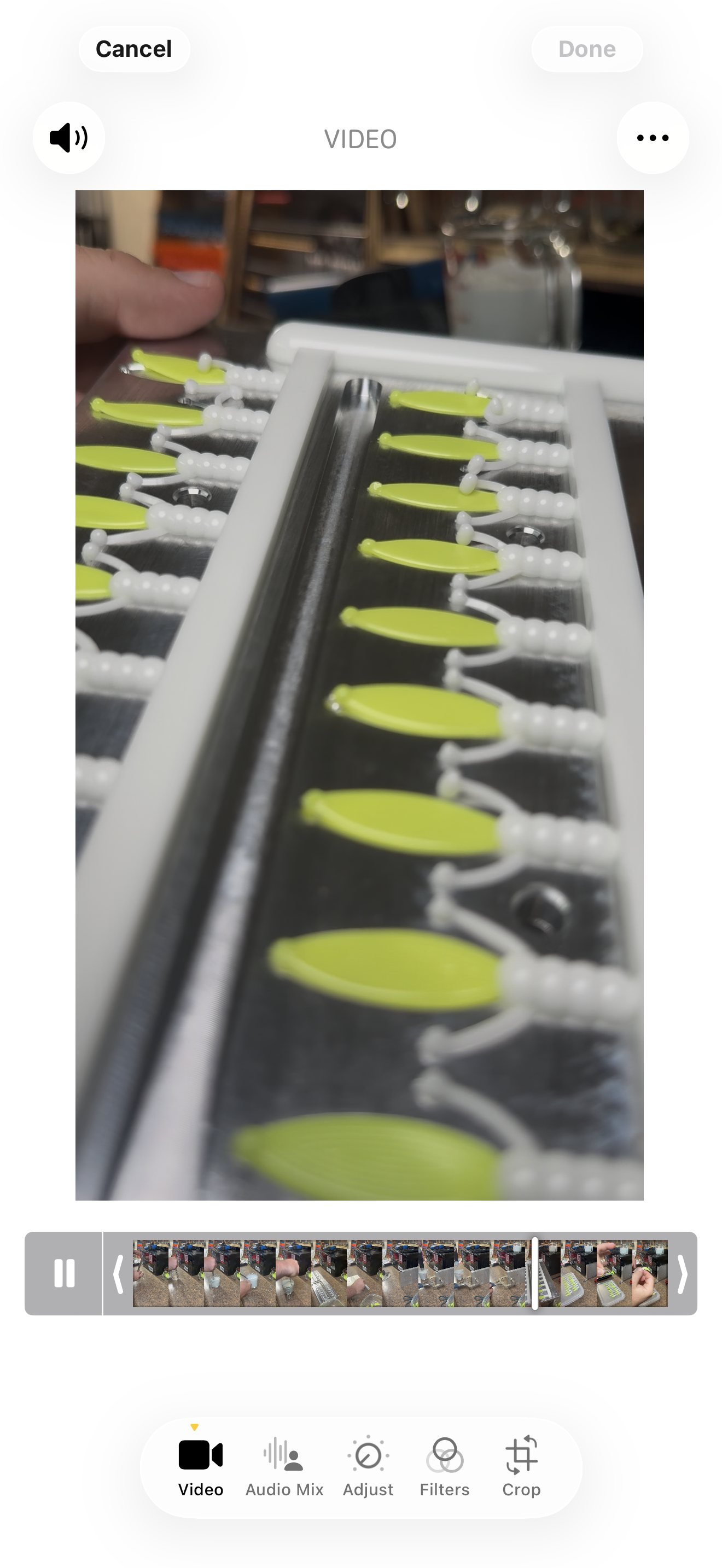 Micro beaver tail (White and Chartreuse)