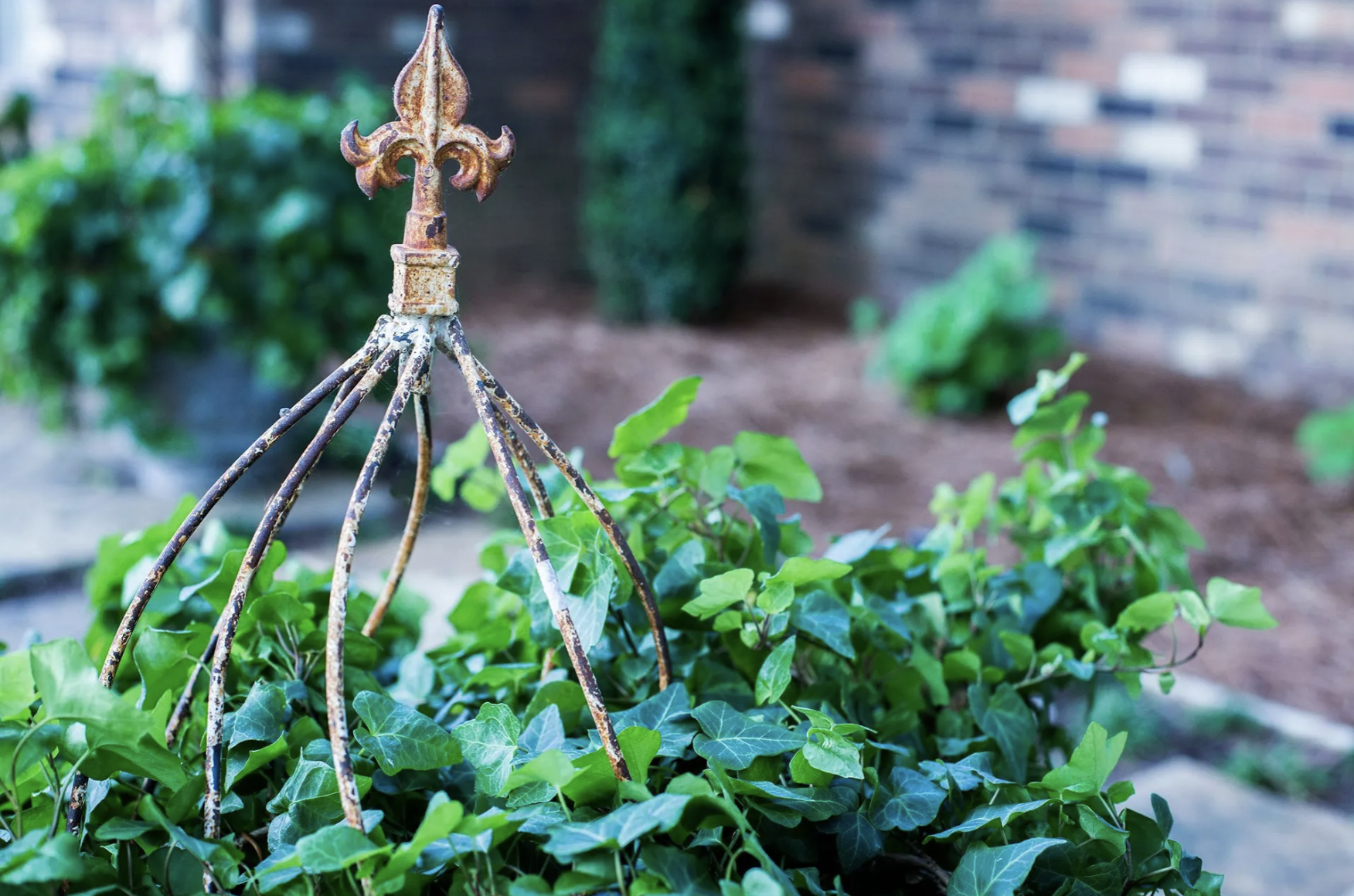 Screenshot 2026-03-10 at 2.55.09 PM.png