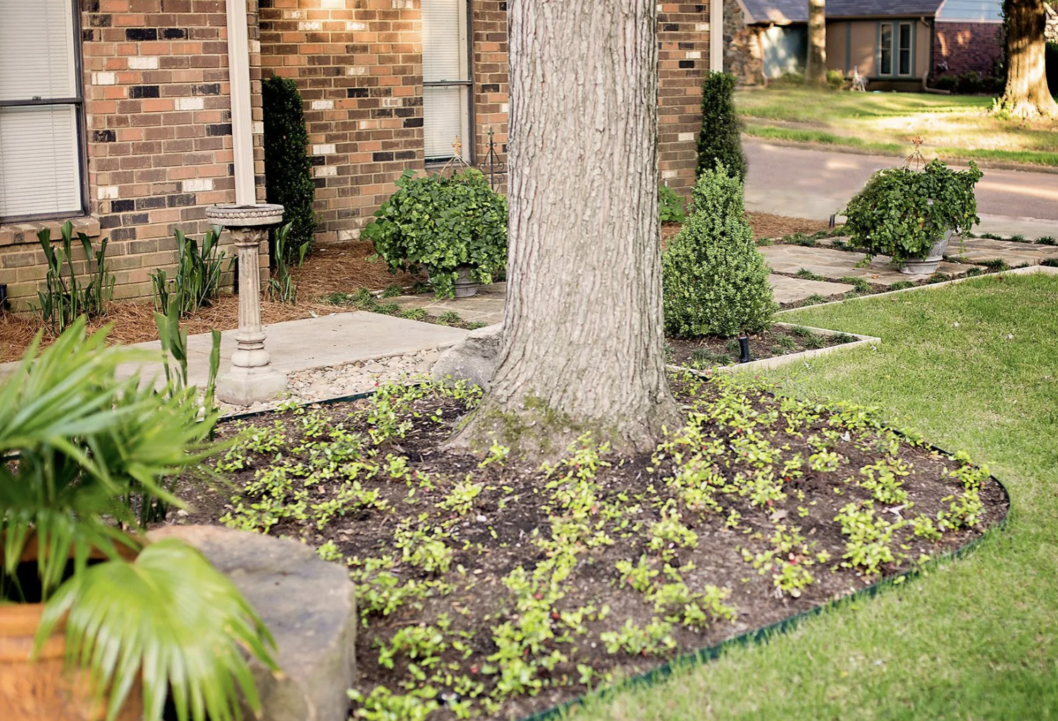 Screenshot 2026-03-10 at 2.56.52 PM.png