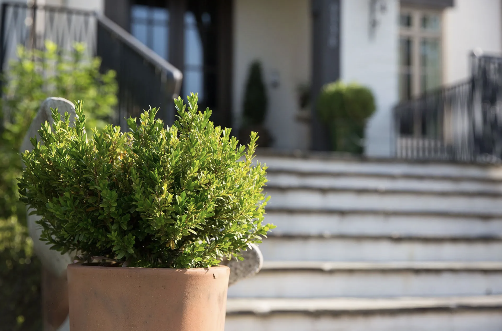 Screenshot 2026-03-10 at 3.11.06 PM.png