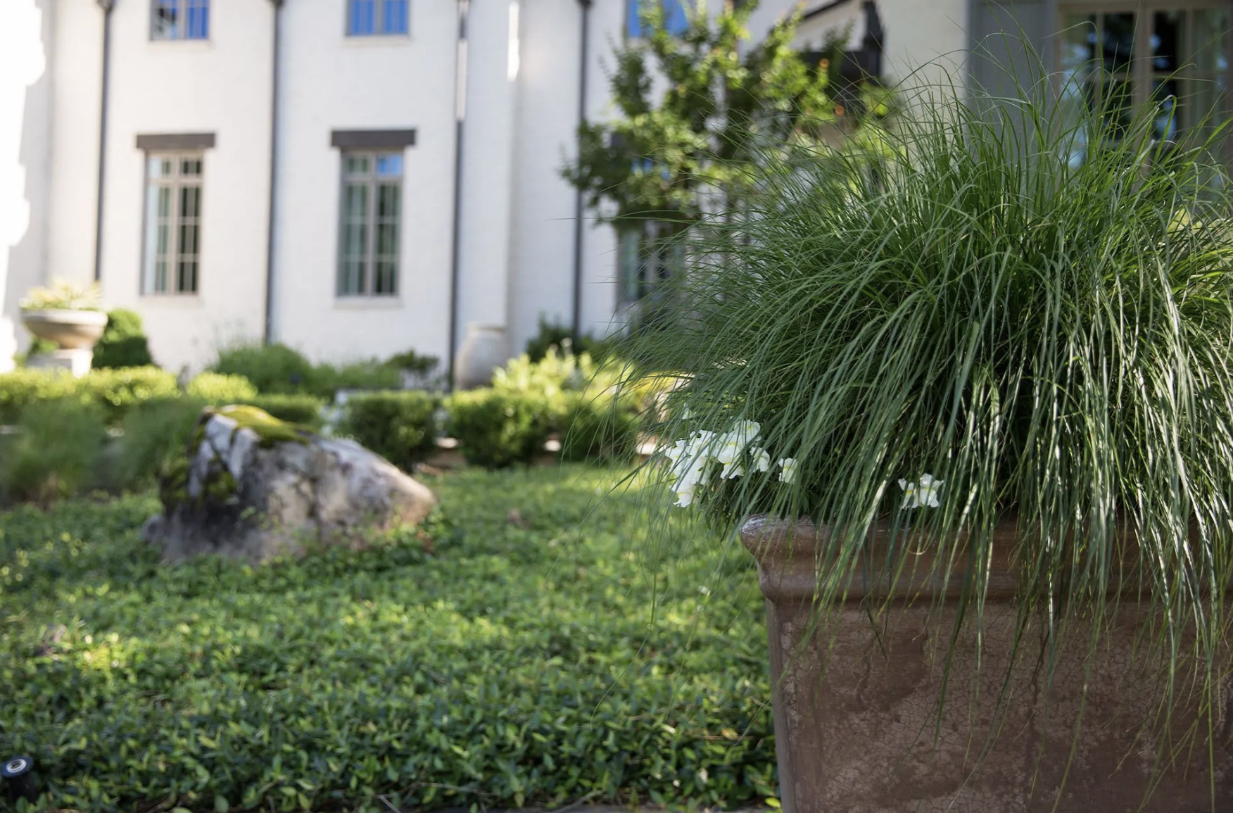 Screenshot 2026-03-10 at 3.10.49 PM.png