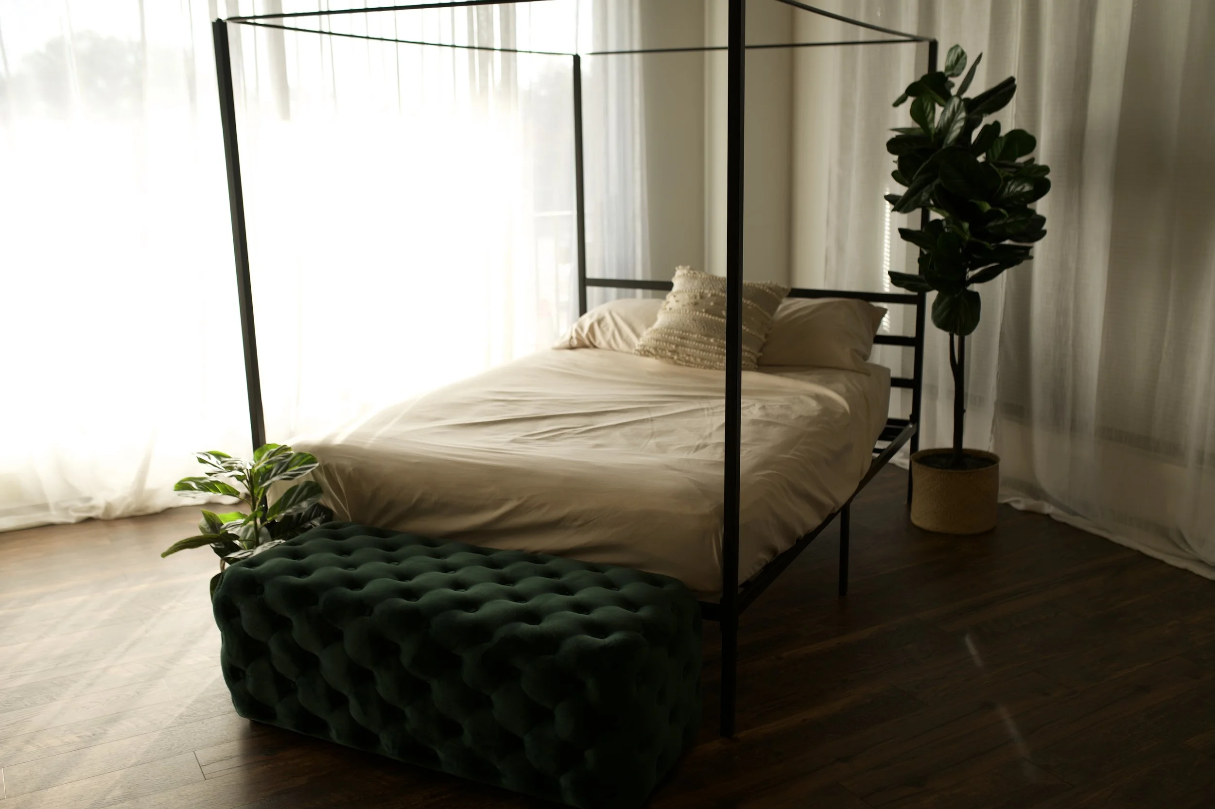 A bedroom with a black metal canopy bed, beige bedding, and pillows. There is a large potted plant with dark green leaves on the right and a tufted green velvet bench at the foot of the bed. Light filters through sheer curtains.