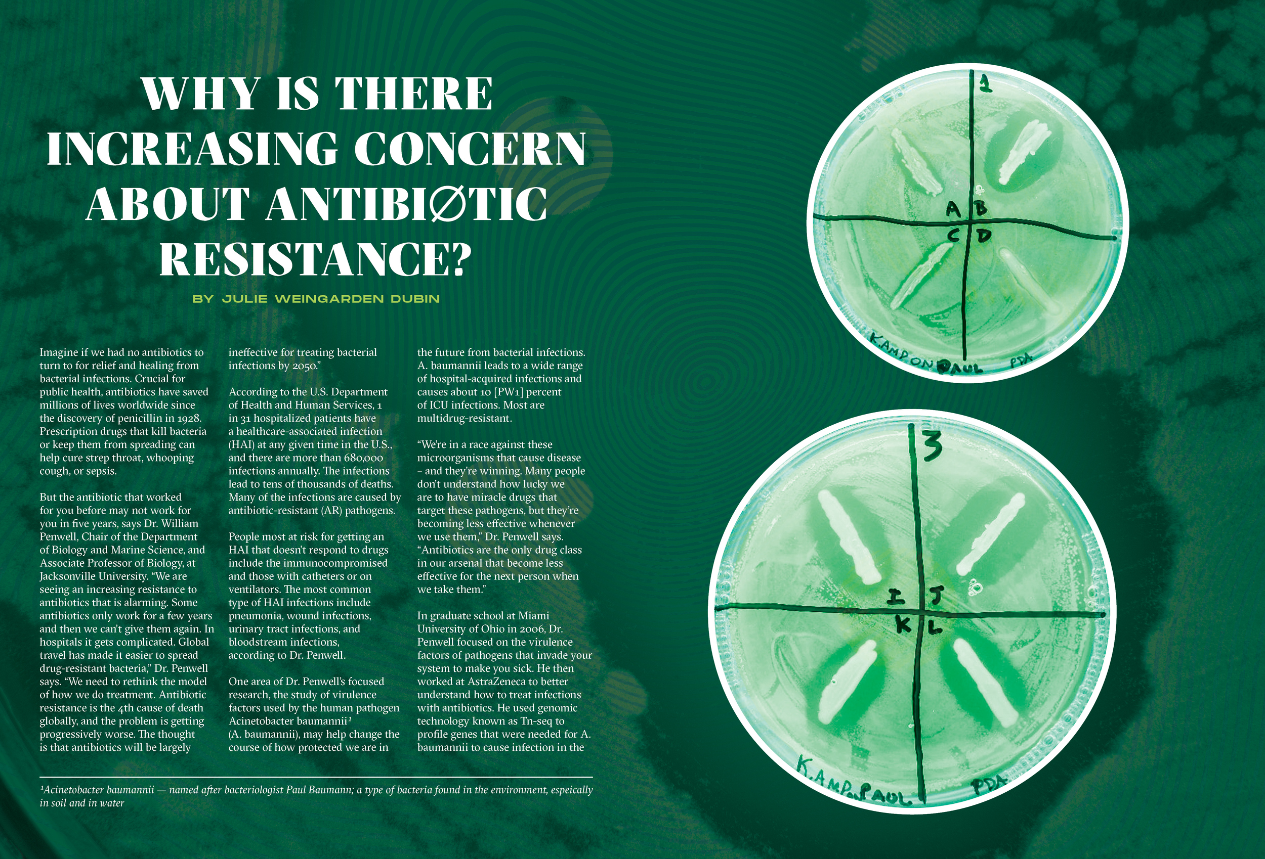 Editorial Intro Spread on Antibiotic Resistance Studies