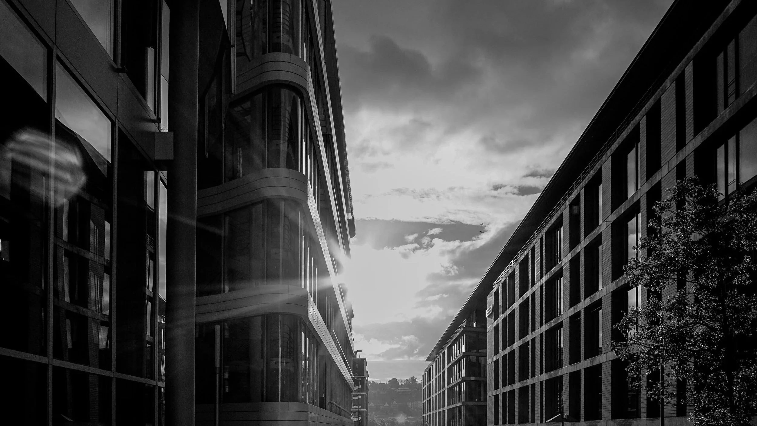 Photo of modern office buildings with glass facades, taken at sunset with the sun near the horizon, creating reflections and a dramatic sky.