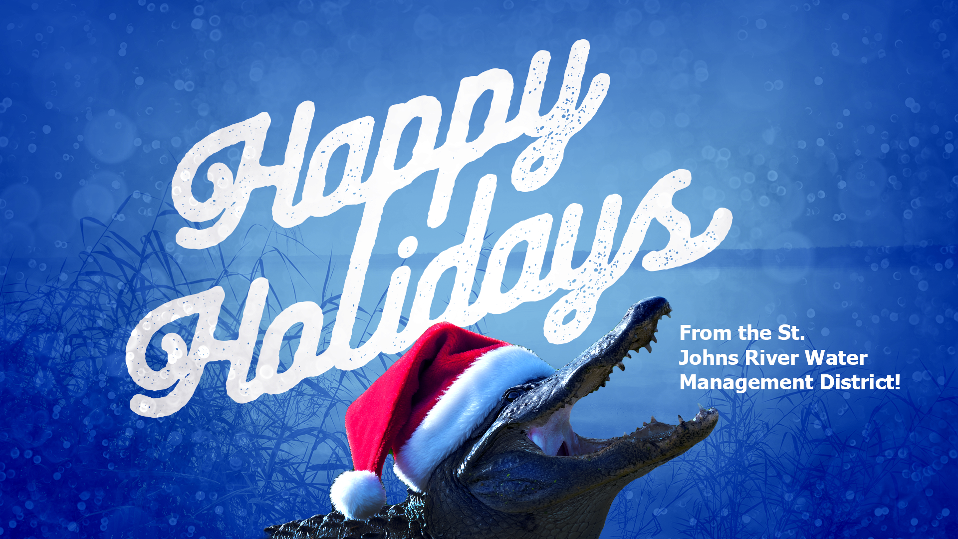 Happy Holidays Newsletter Graphic 2025