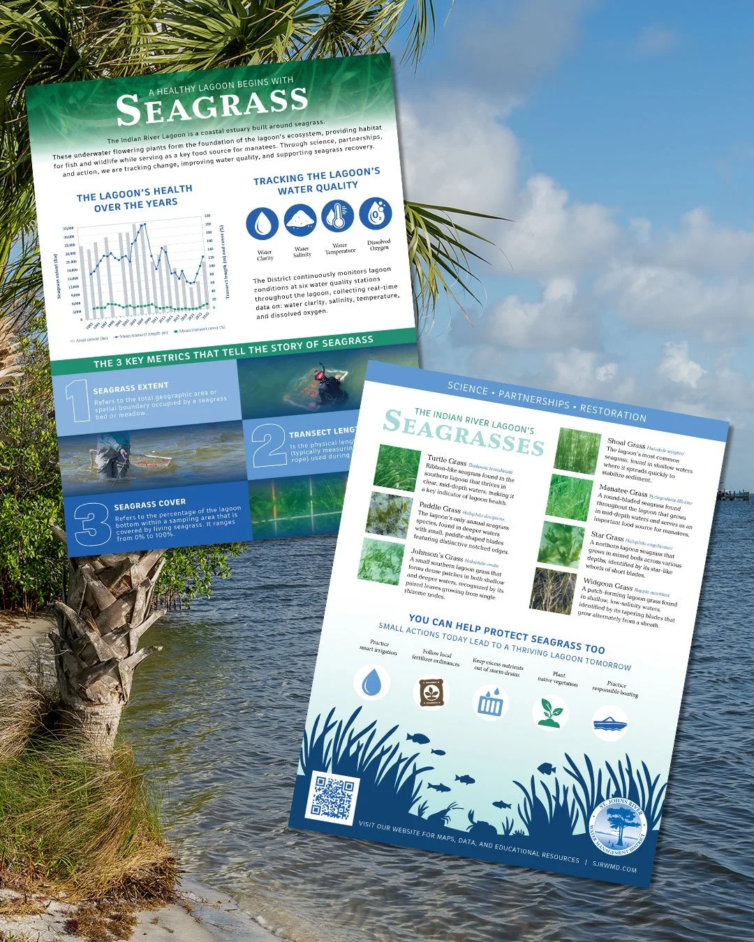 Indian River Lagoon Seagrass Infographic One-Pager, Front and Back Design 2026