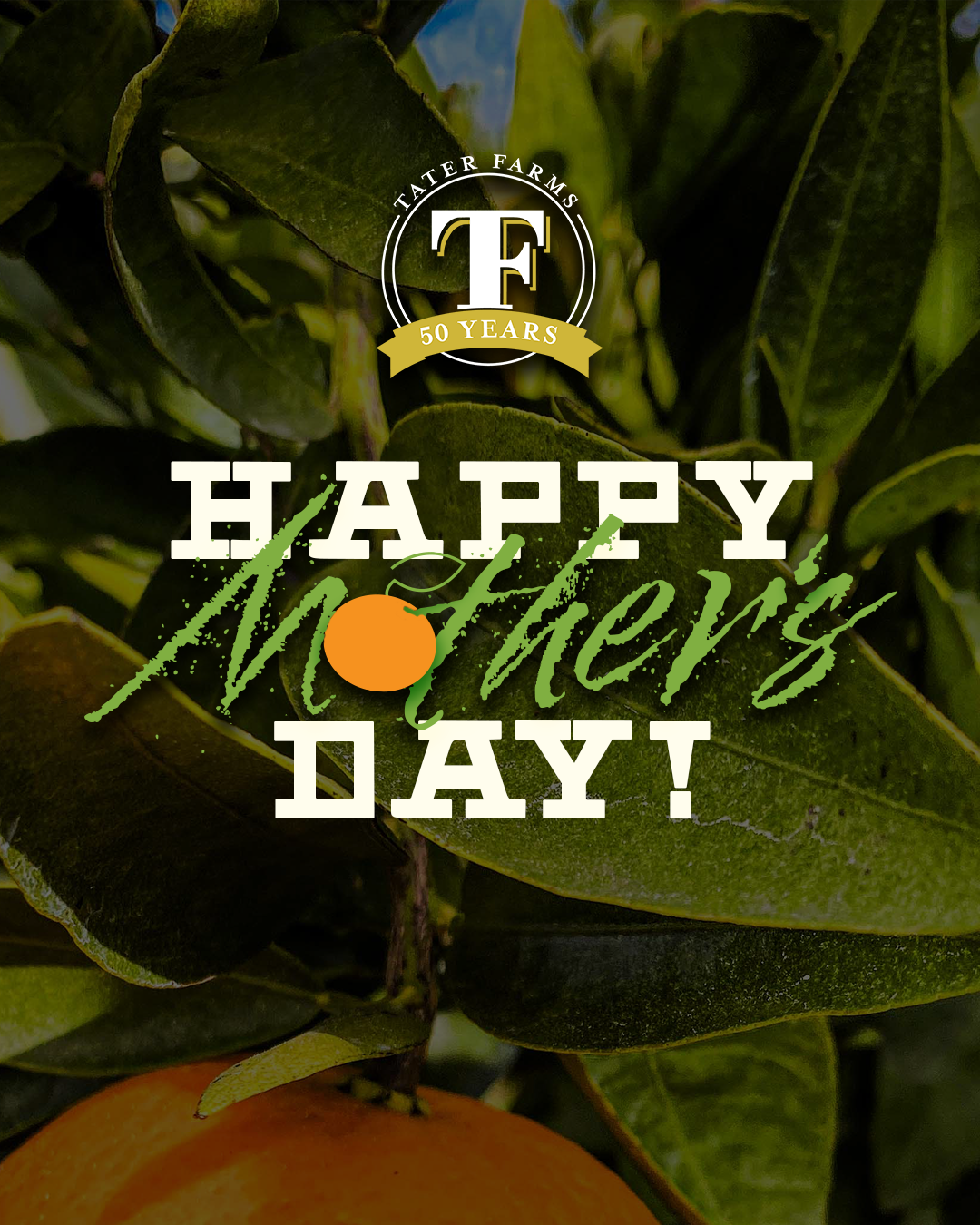 Mother's Day Social Graphic 2025