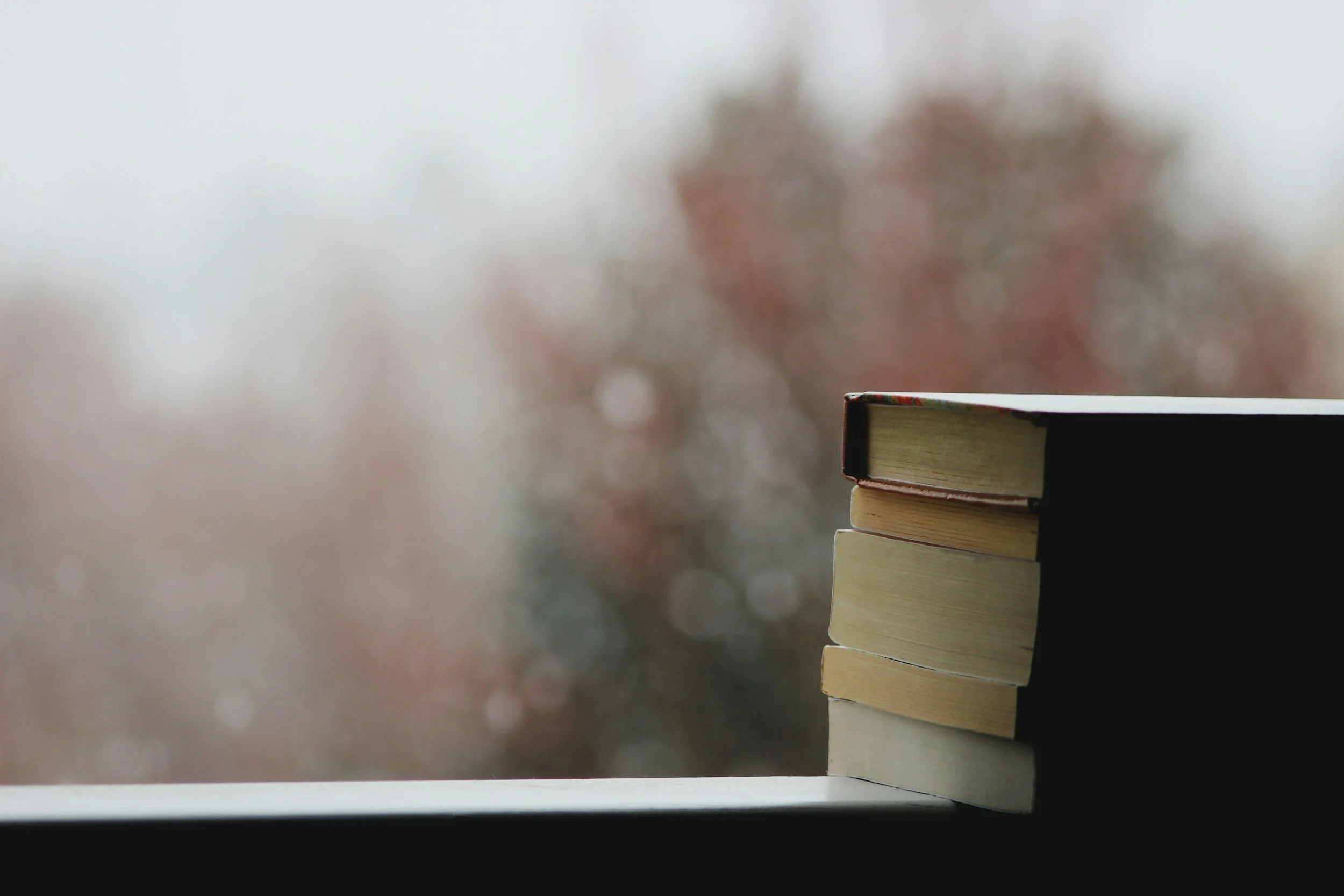 Five Cozy Rainy Day Reads