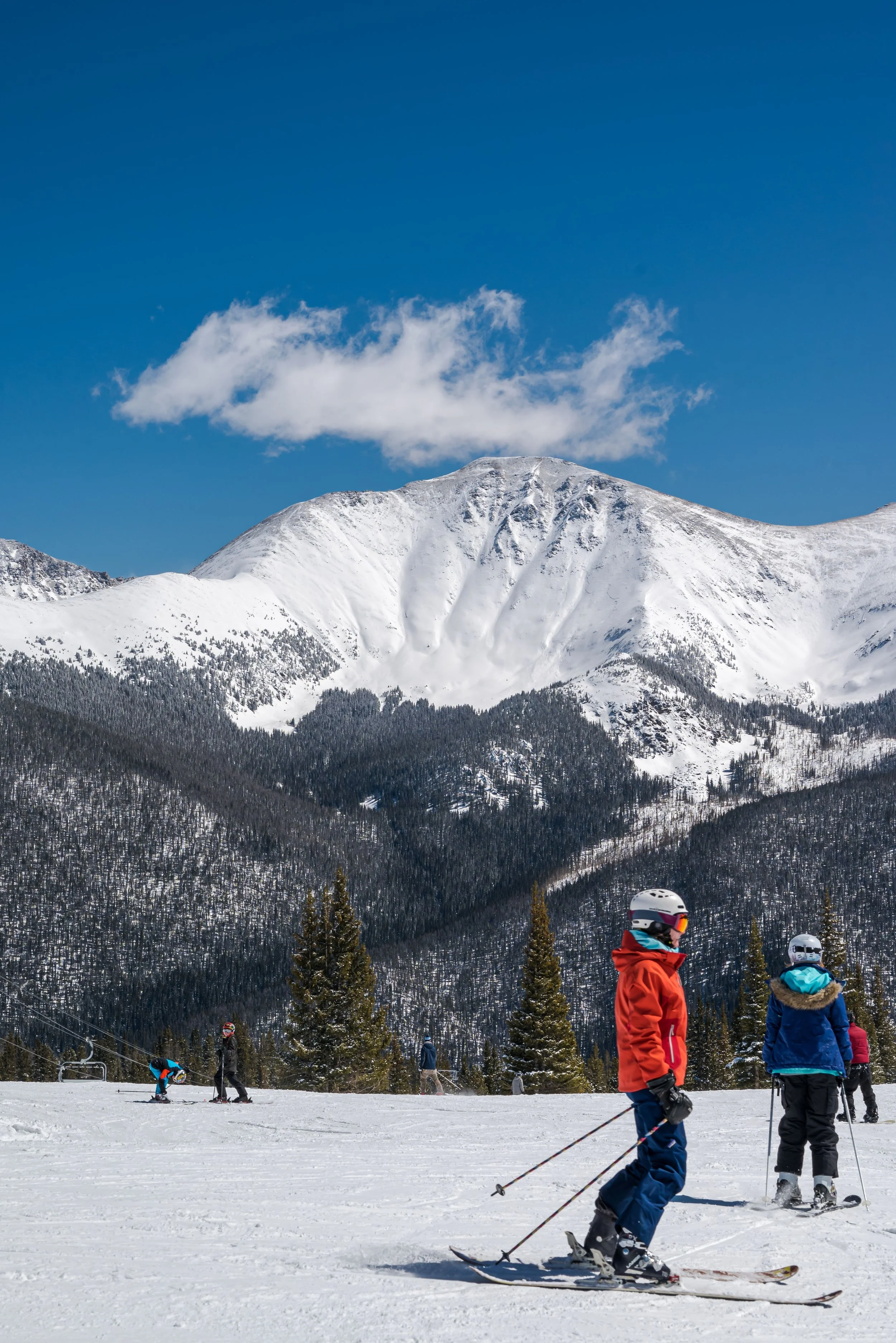 People skiing on a snowy mountain with tall pine trees and snow-covered mountains in the background.