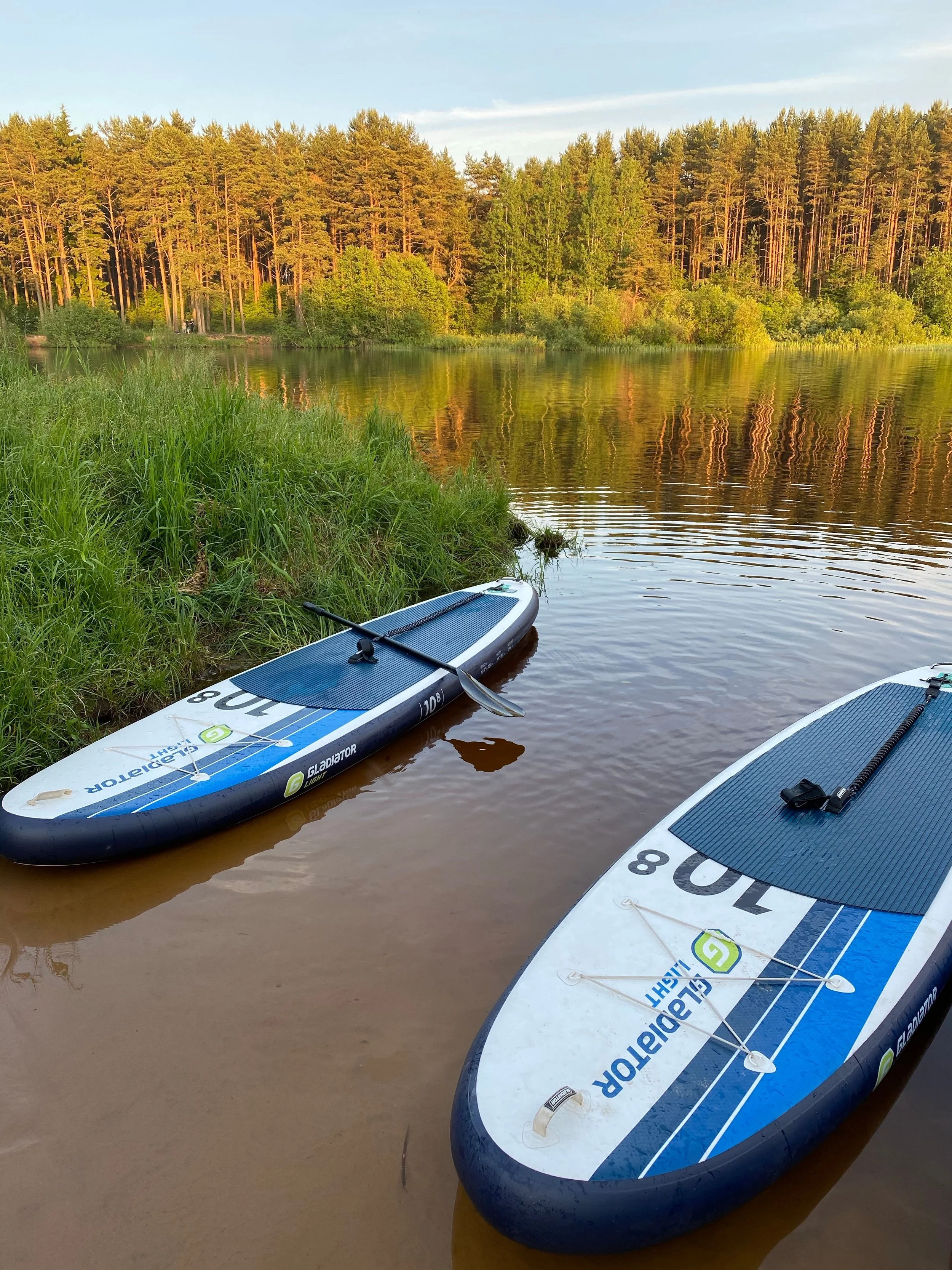 Two blue and white paddleboards with paddles resting on a riverbank, surrounded by green grass and trees, with a calm body of water reflecting a wooded shoreline in the background.