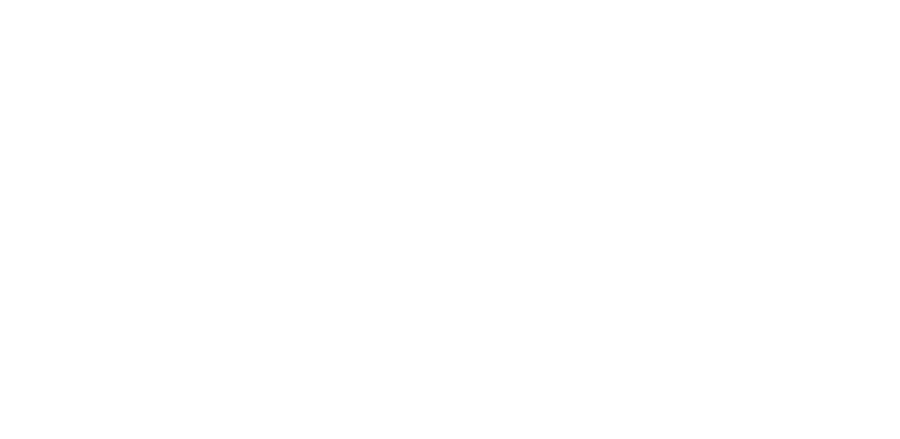 Mission with Moxie