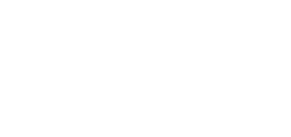 Mission with Moxie