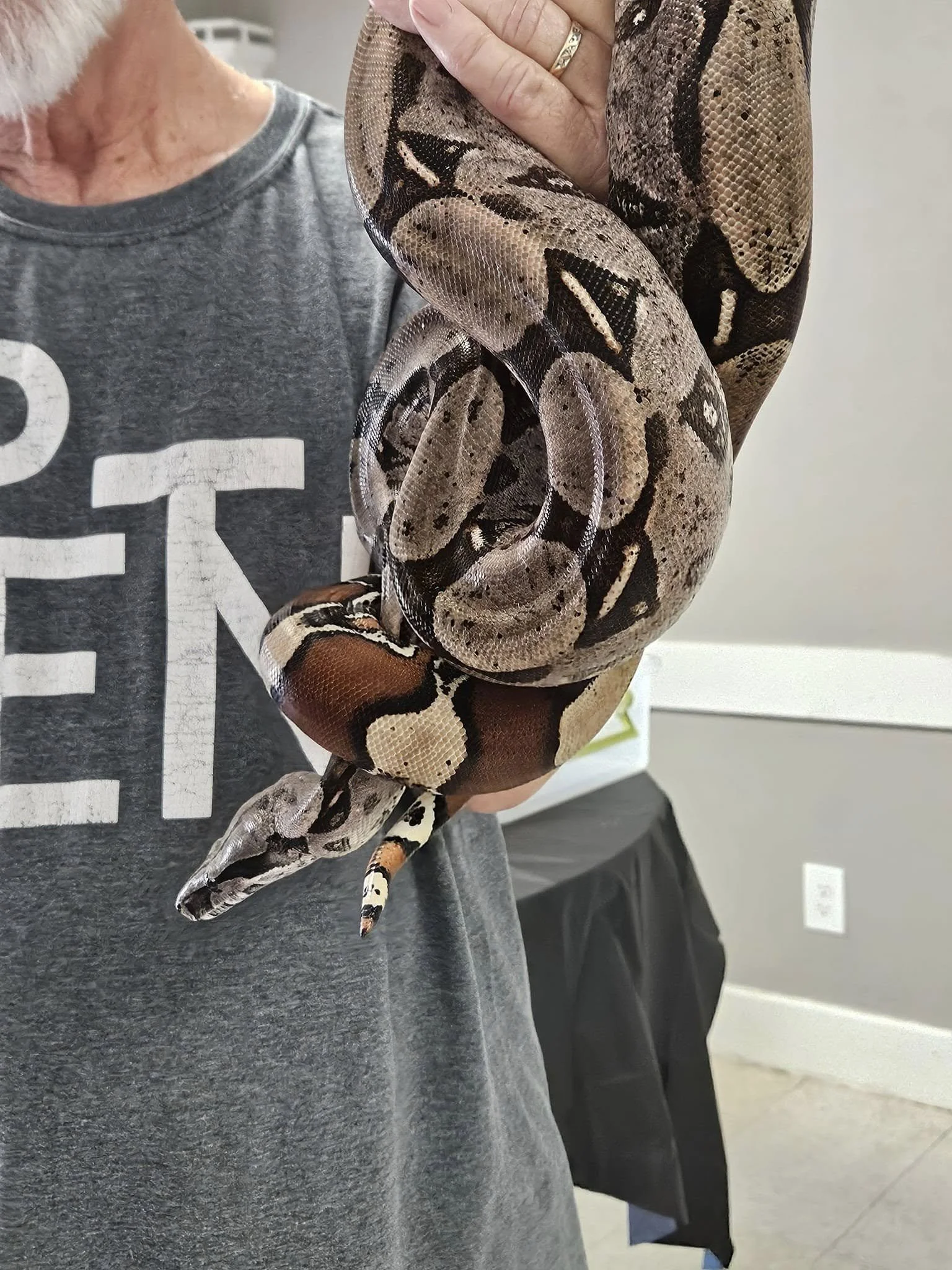 Man holding a snake