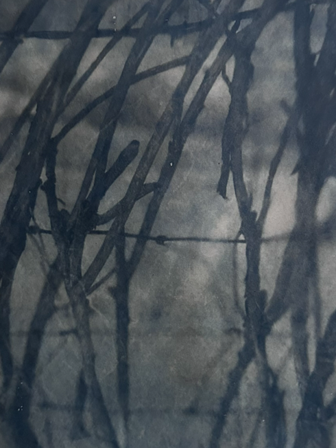 Stuck (2026), toned cyanotype on tissue paper