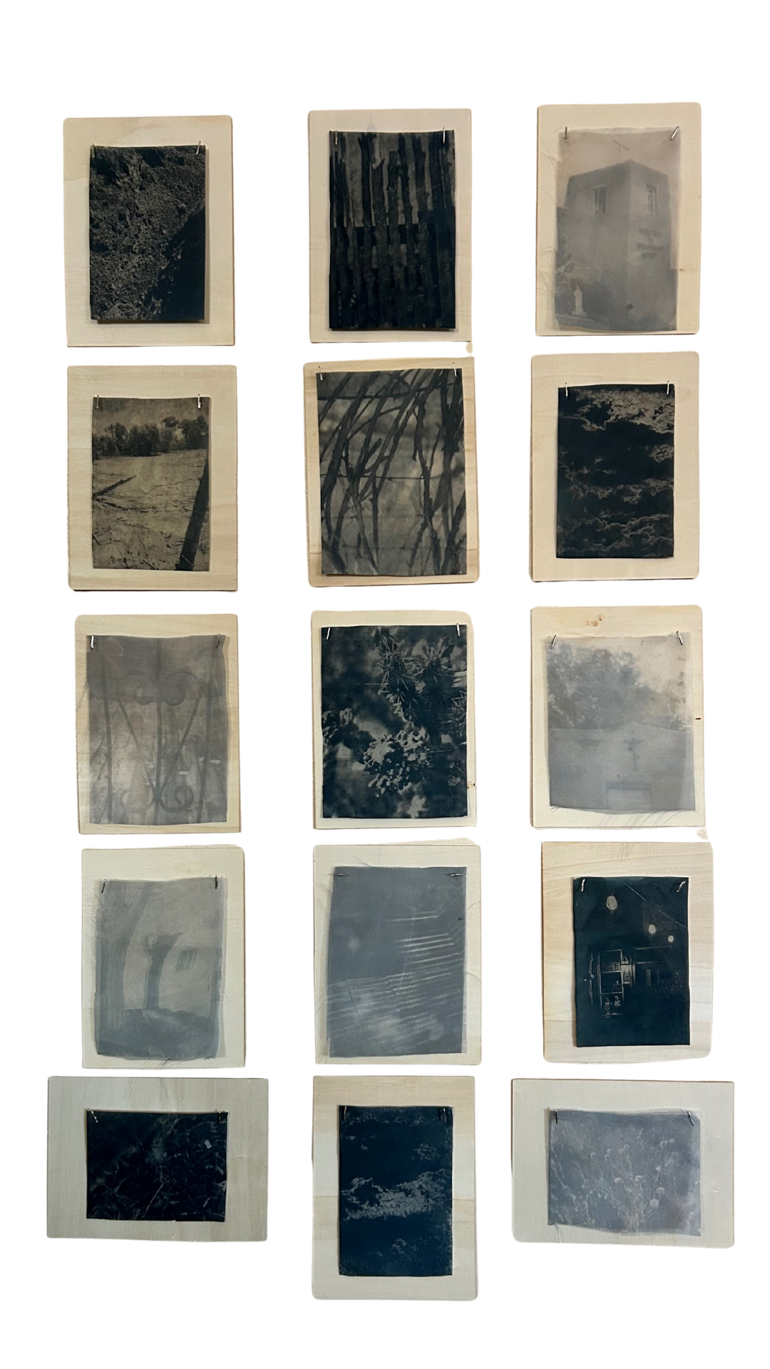 Full 15 cyanotypes