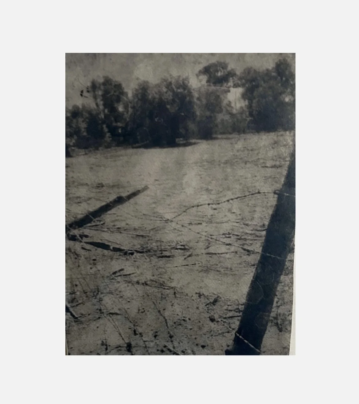 Untitled 3 (2026), toned cyanotype on tissue paper