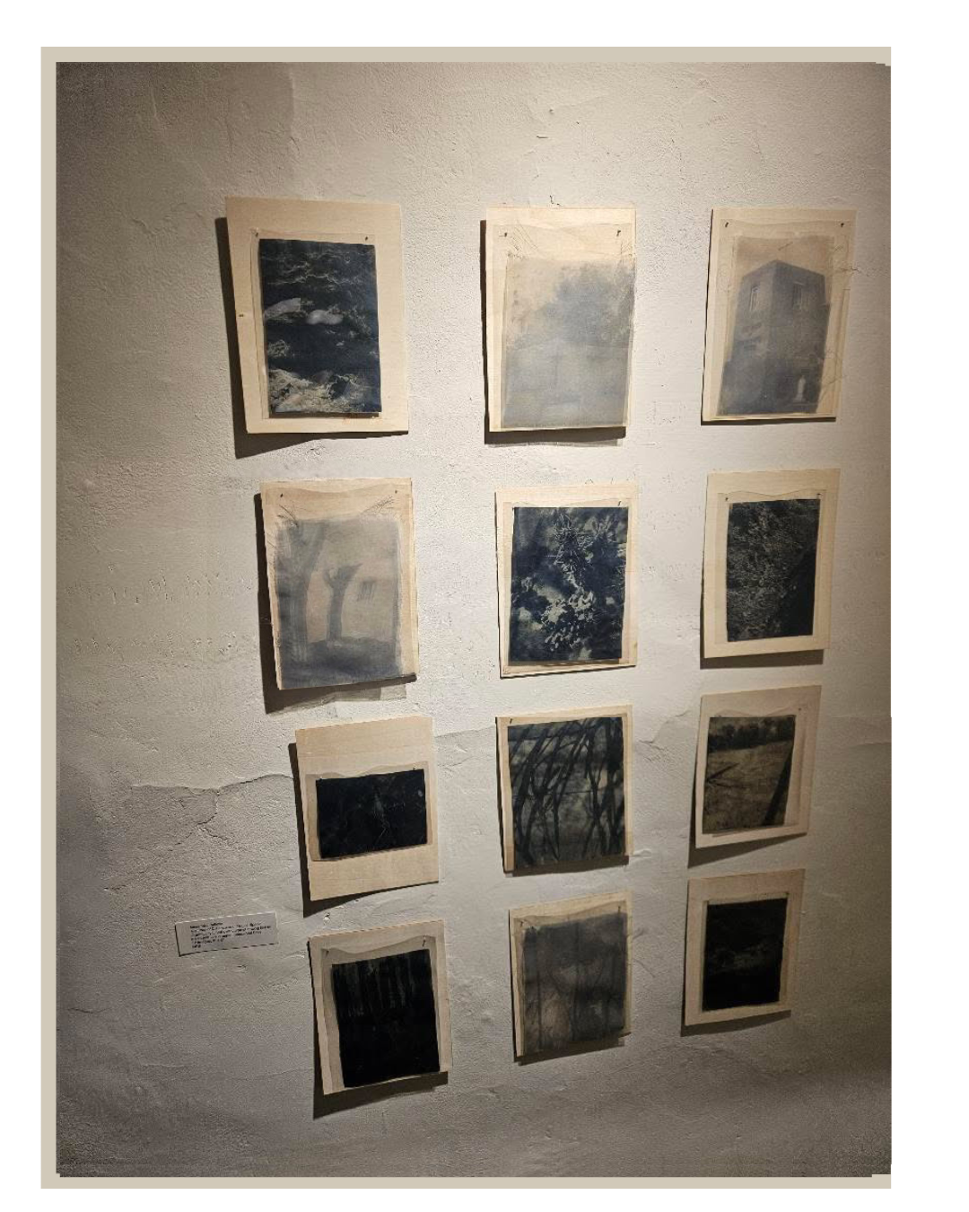 'Expansion' Exhibition at Revolt Gallery, March 6th 2026, Taos, New Mexico