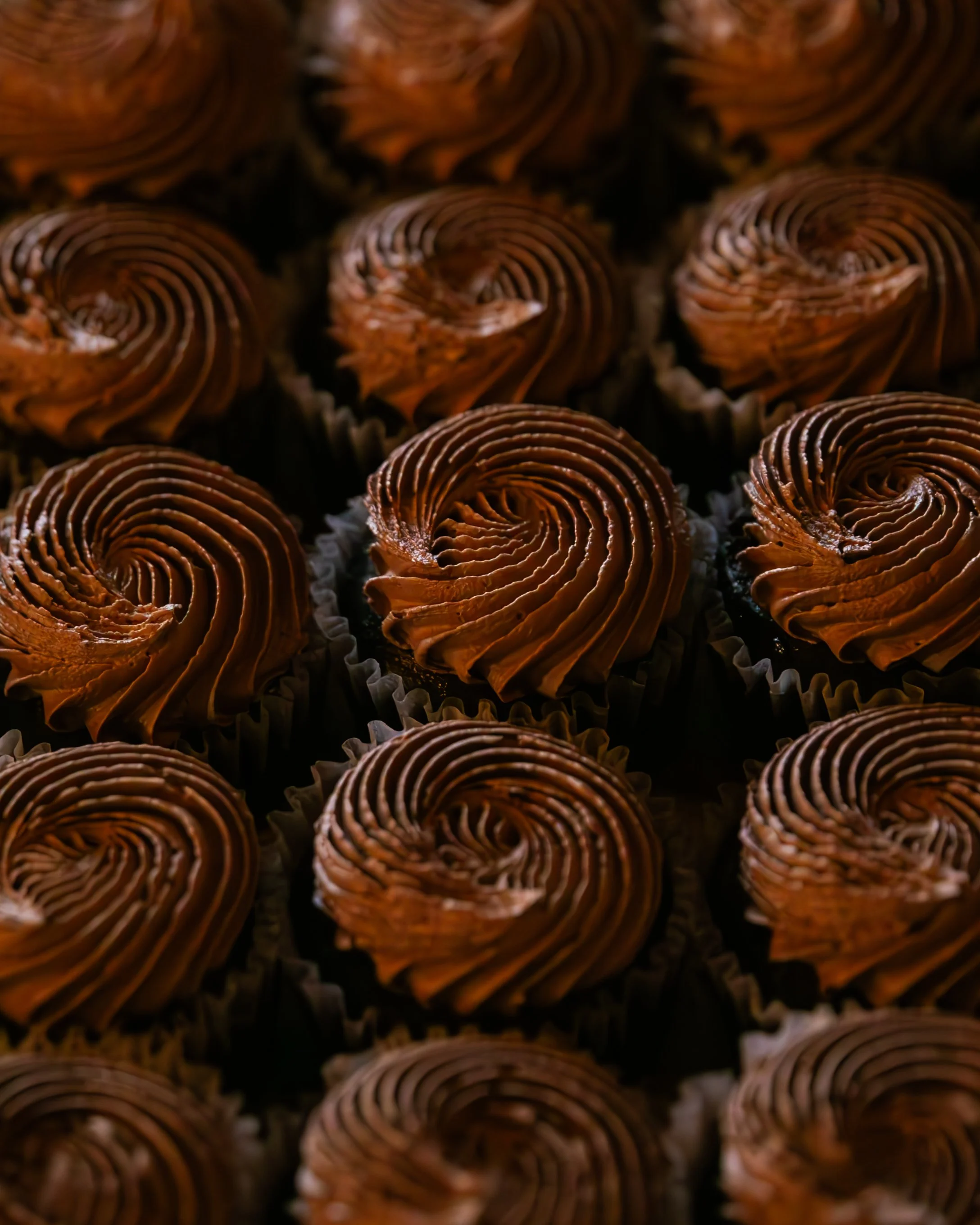 Thistle & Honey January 25, 2025 72.jpg