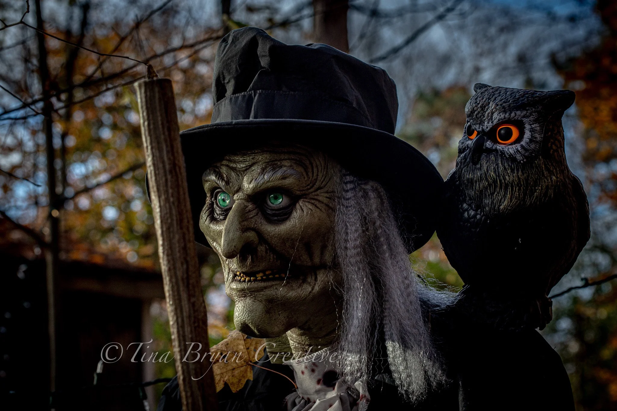 2025 Paula Willis & Family Celebration 10.12-130.jpg